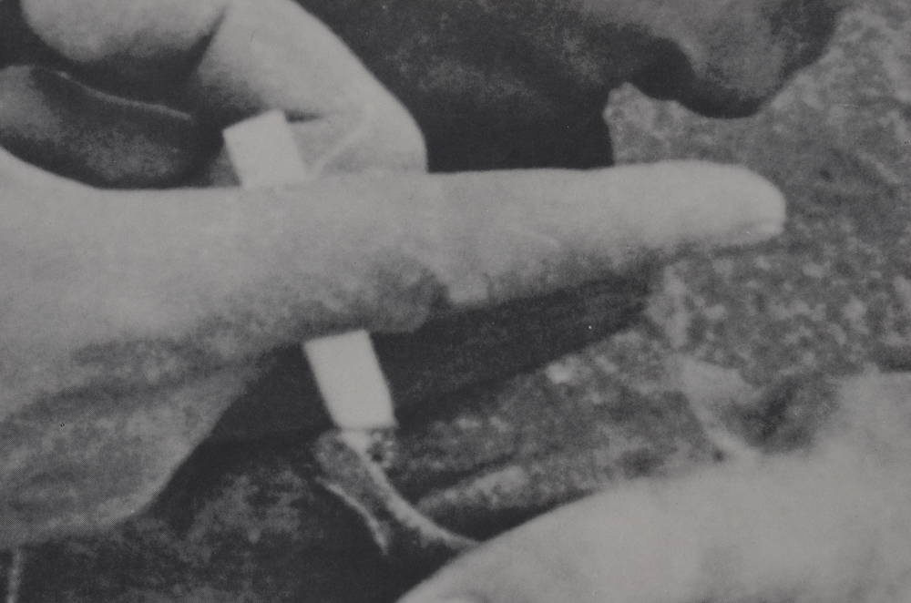 Two Large-Scale 1980s James Dean Posters