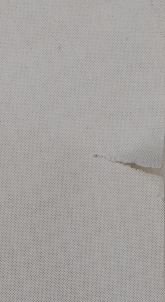 Two Large-Scale 1980s James Dean Posters