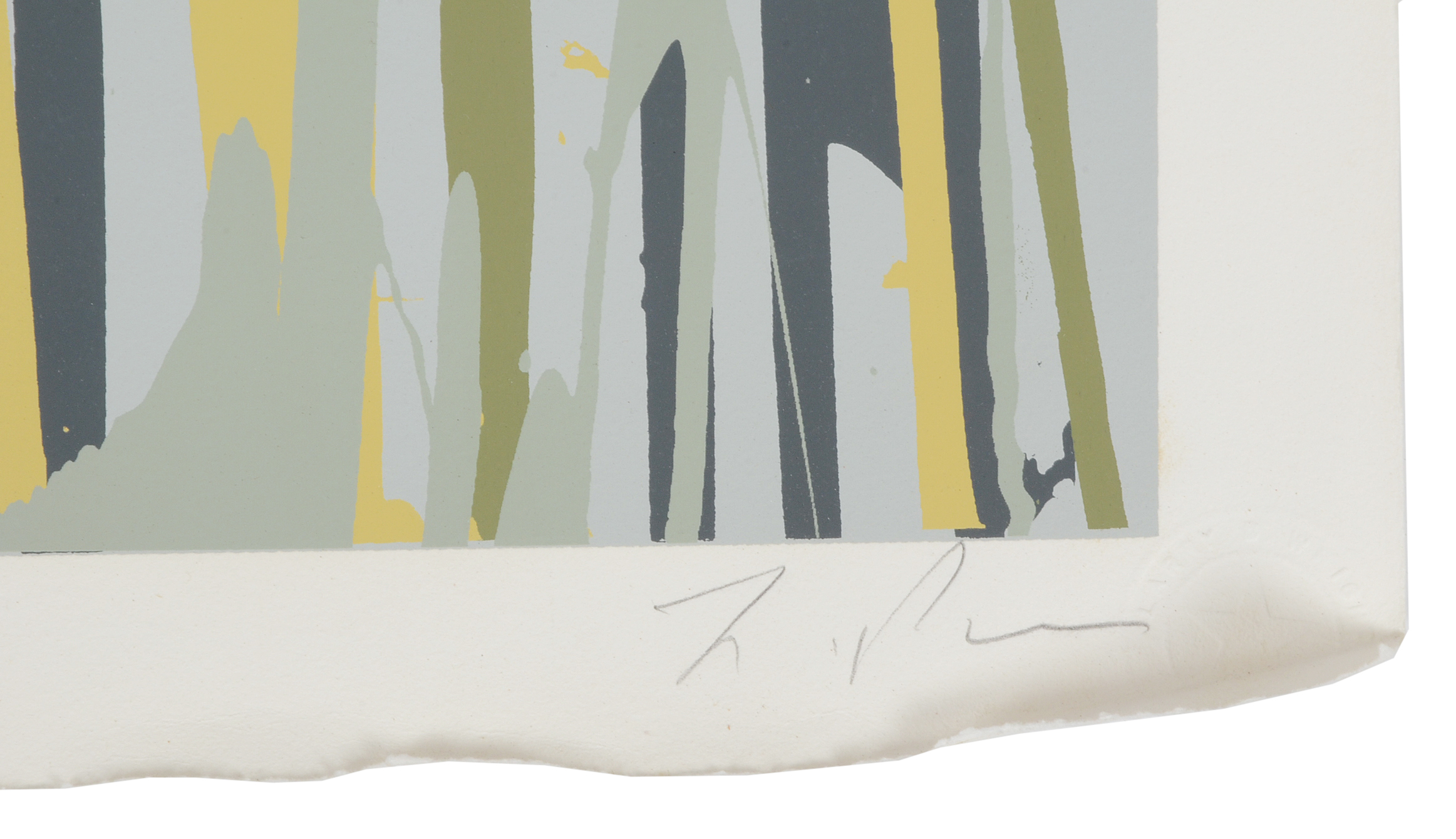 Larry Poons Signed Limited Edition 1979 Serigraph