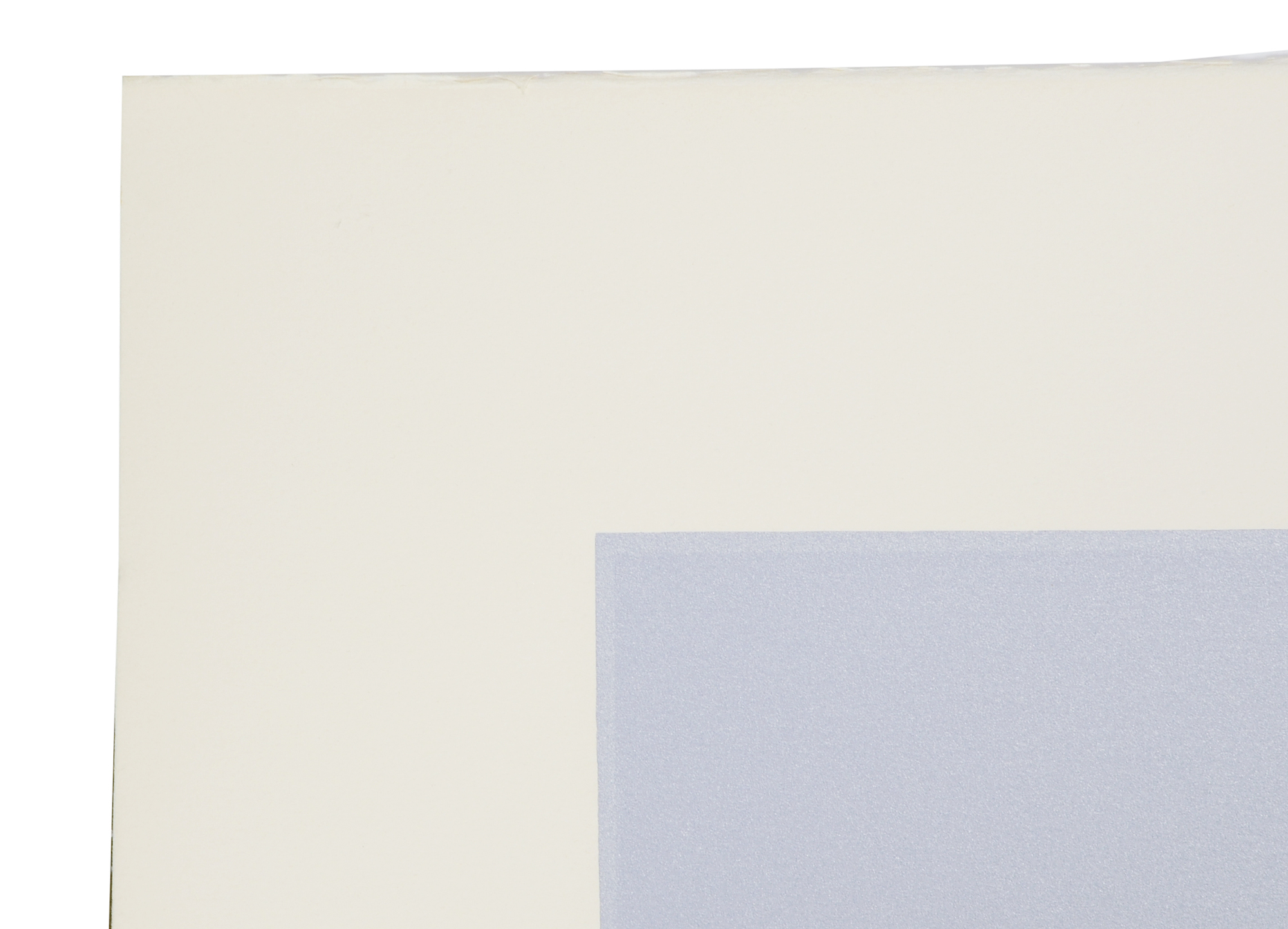 Lowell Nesbitt 1980 Signed Limited Edition Serigraph "Apple Blossom"