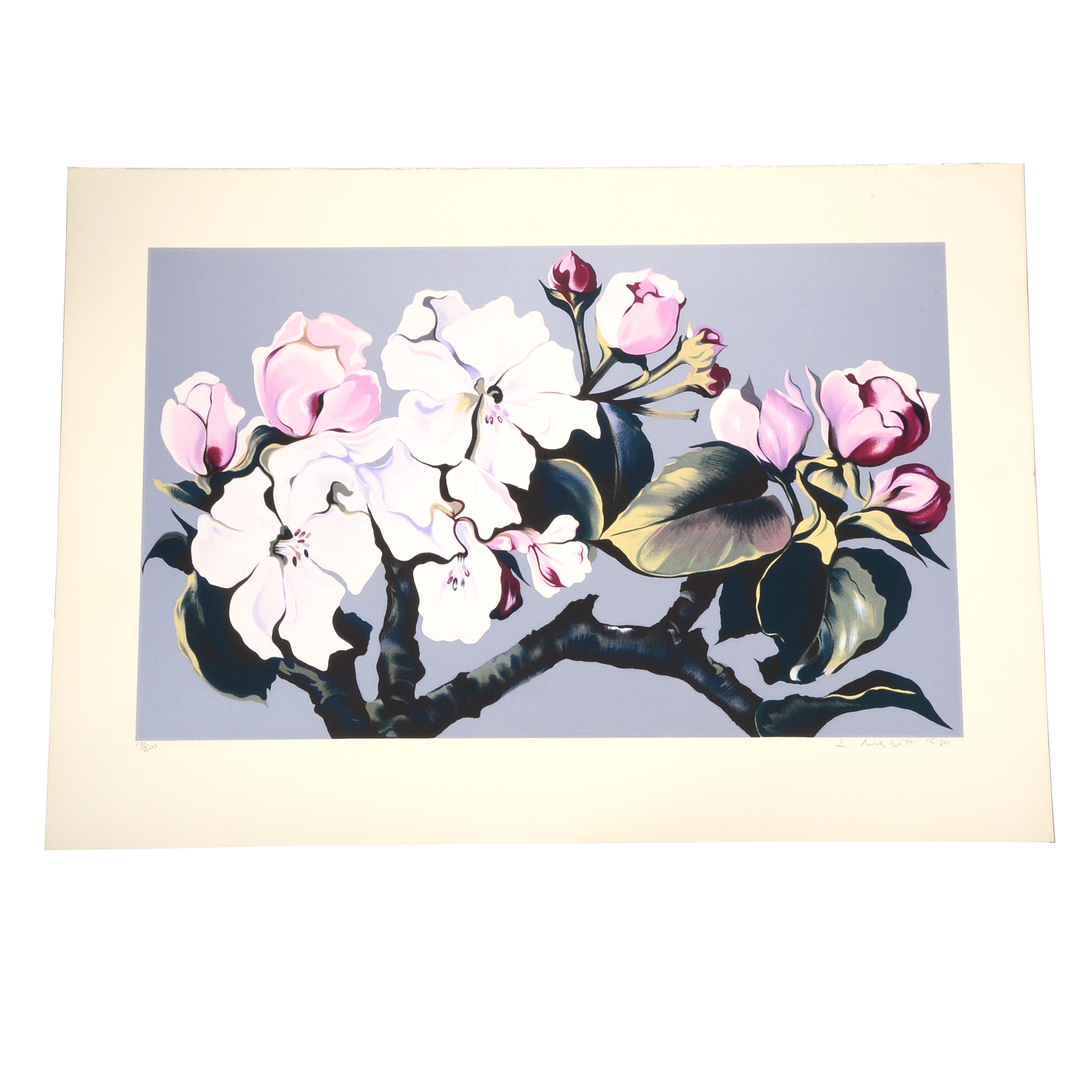 Lowell Nesbitt 1980 Signed Limited Edition Serigraph "Apple Blossom"