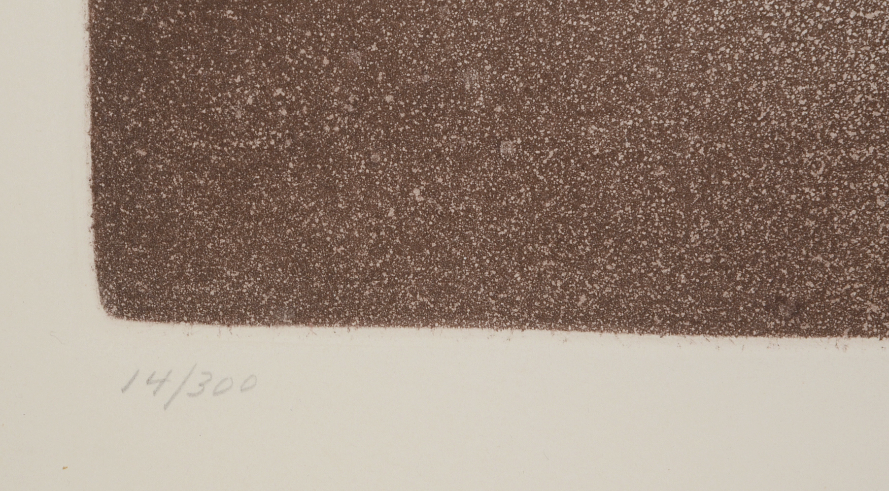 Salvador Dalí Original Aquatint Etching "The Mirror of Chivalry"