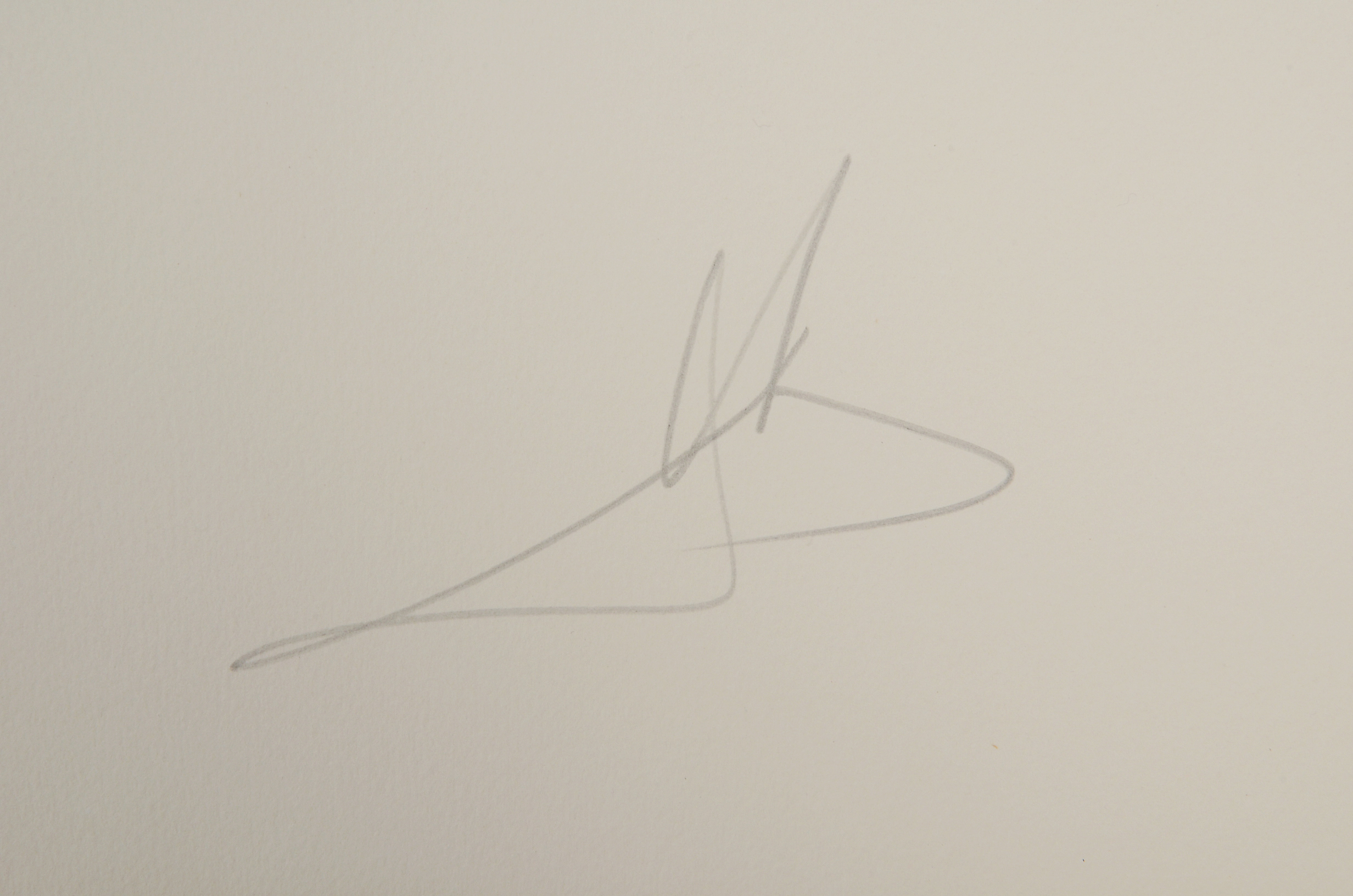 Salvador Dalí Original Aquatint Etching "The Mirror of Chivalry"