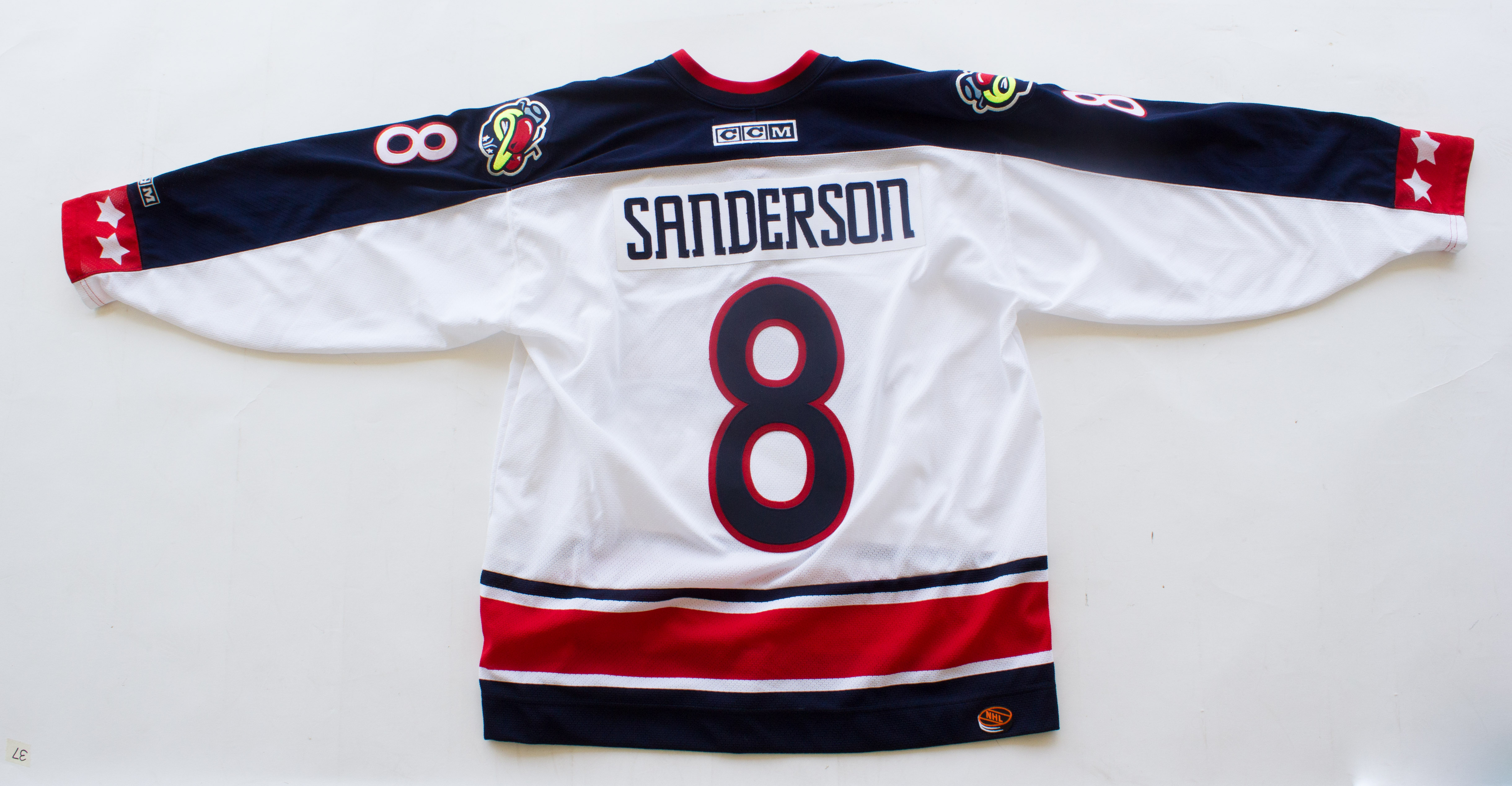 Columbus Blue Jackets Geoff Sanderson Hockey Jersey
