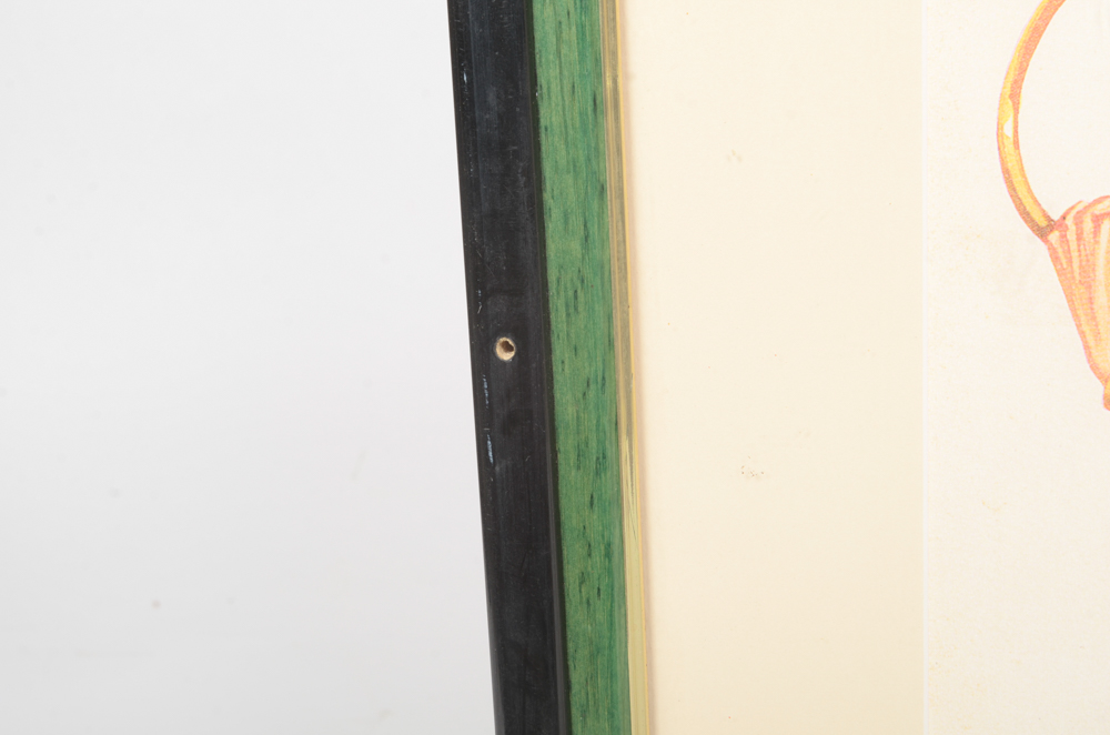 Assortment of Framed "Collier's" Magazine Covers