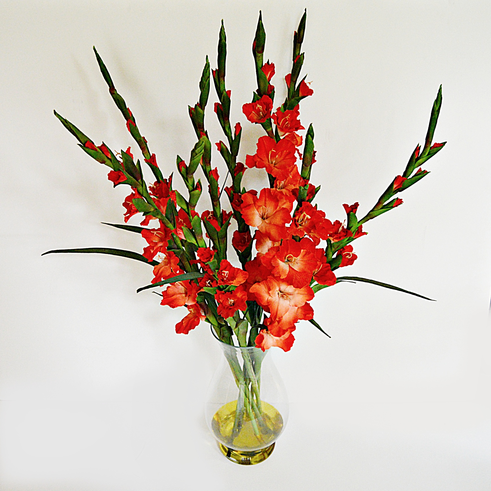 Red Gladiolus Arrangement