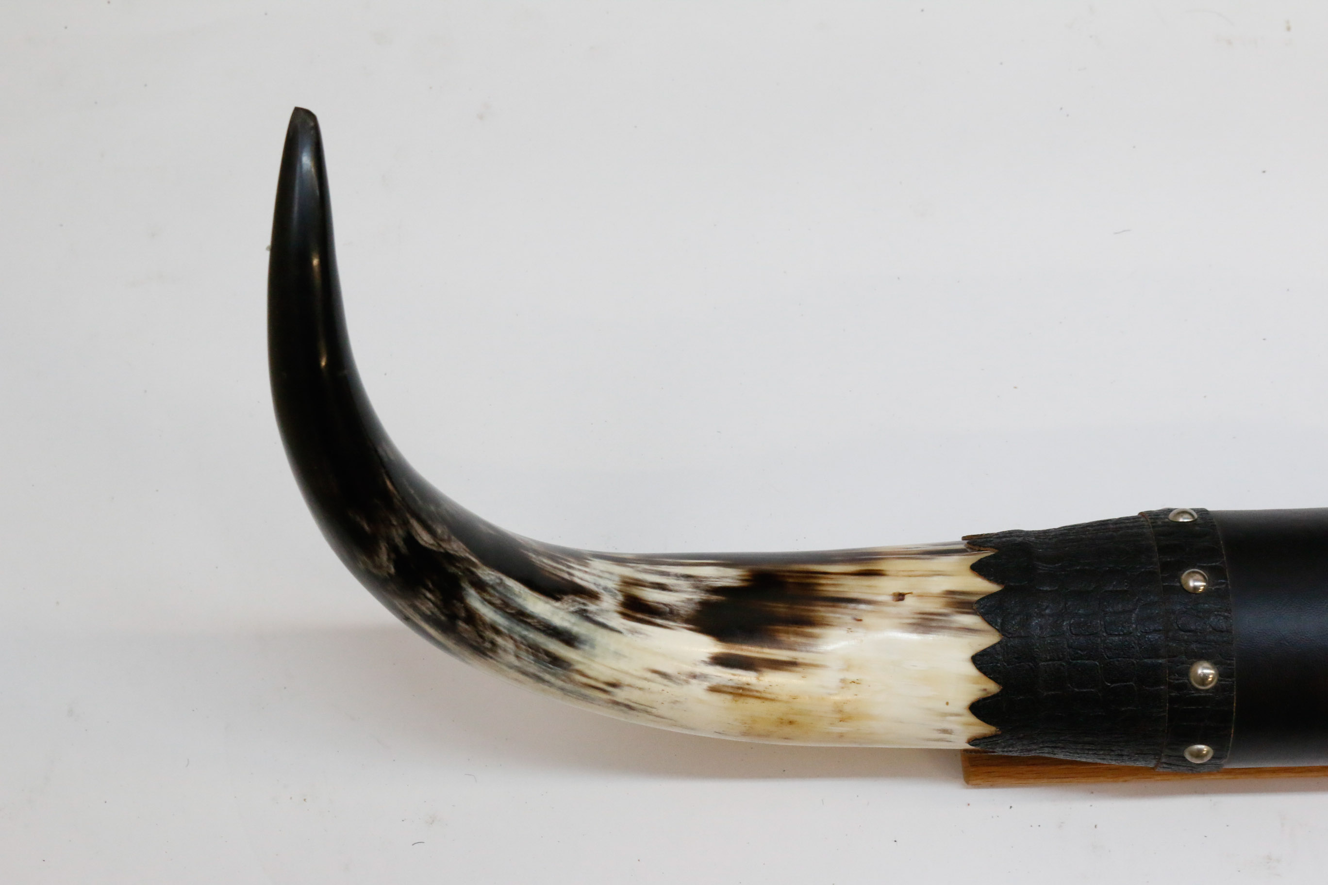 Pair of Decorative Cow Horns