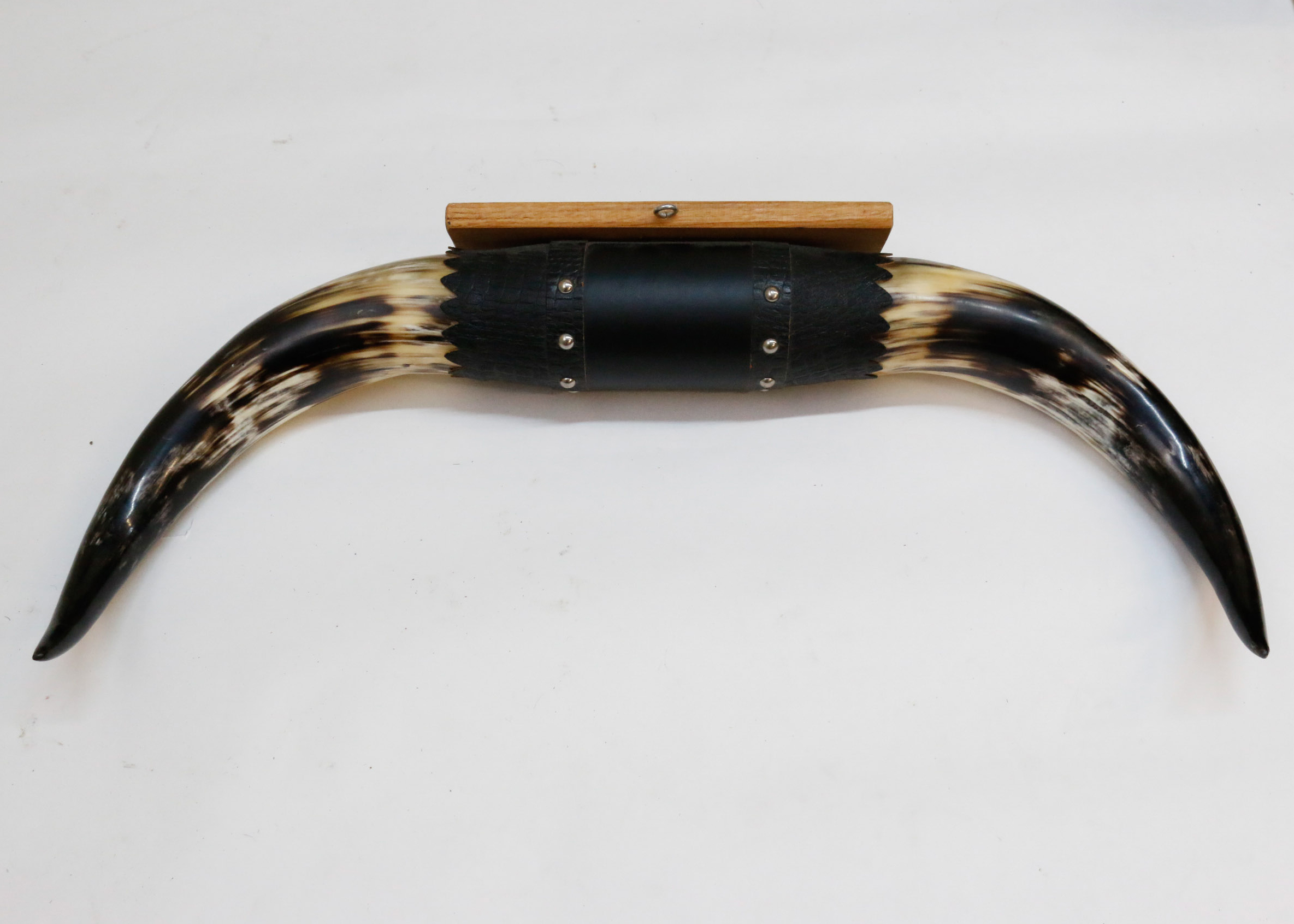 Pair of Decorative Cow Horns