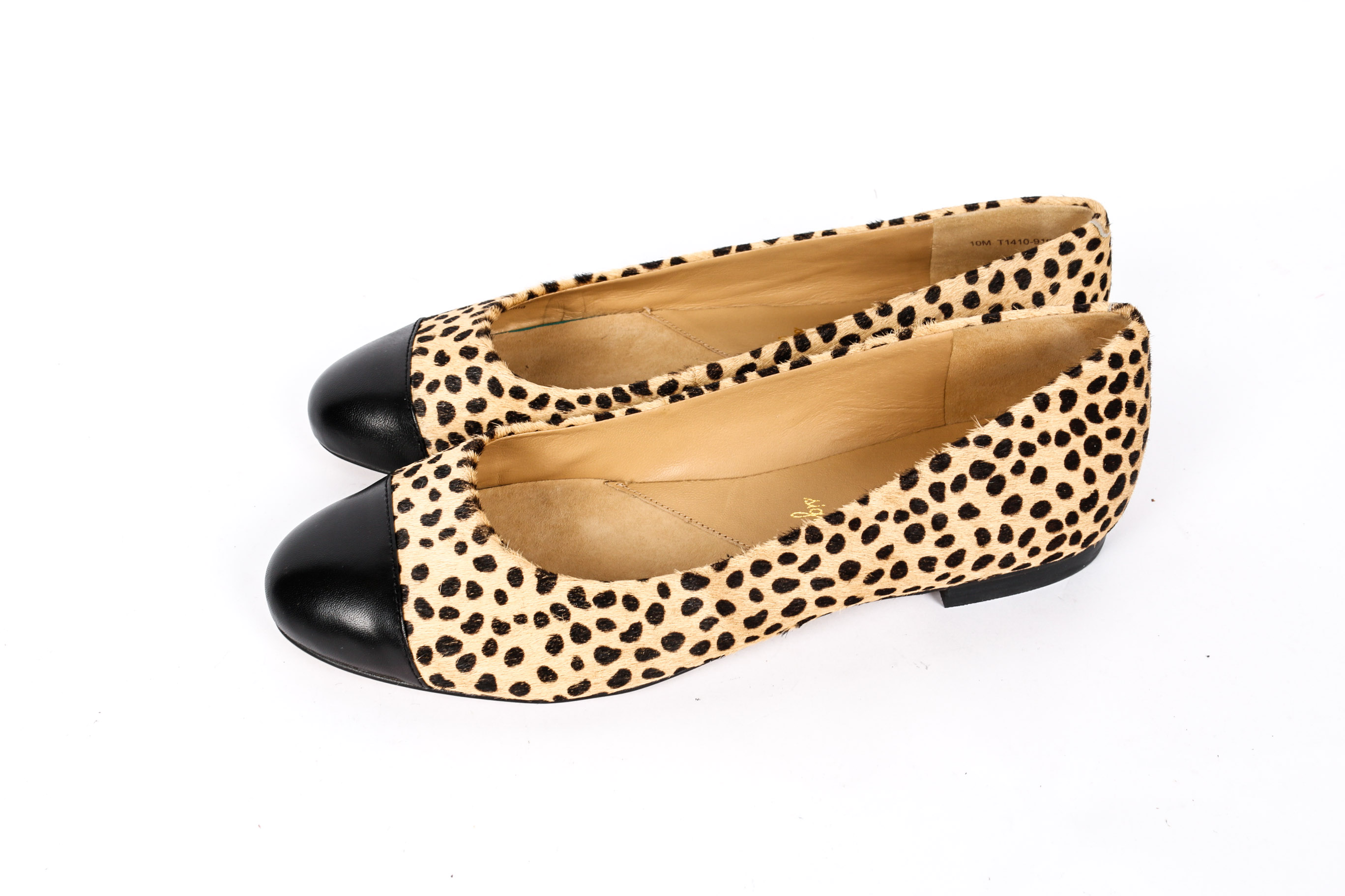 Collection of Women's Shoes