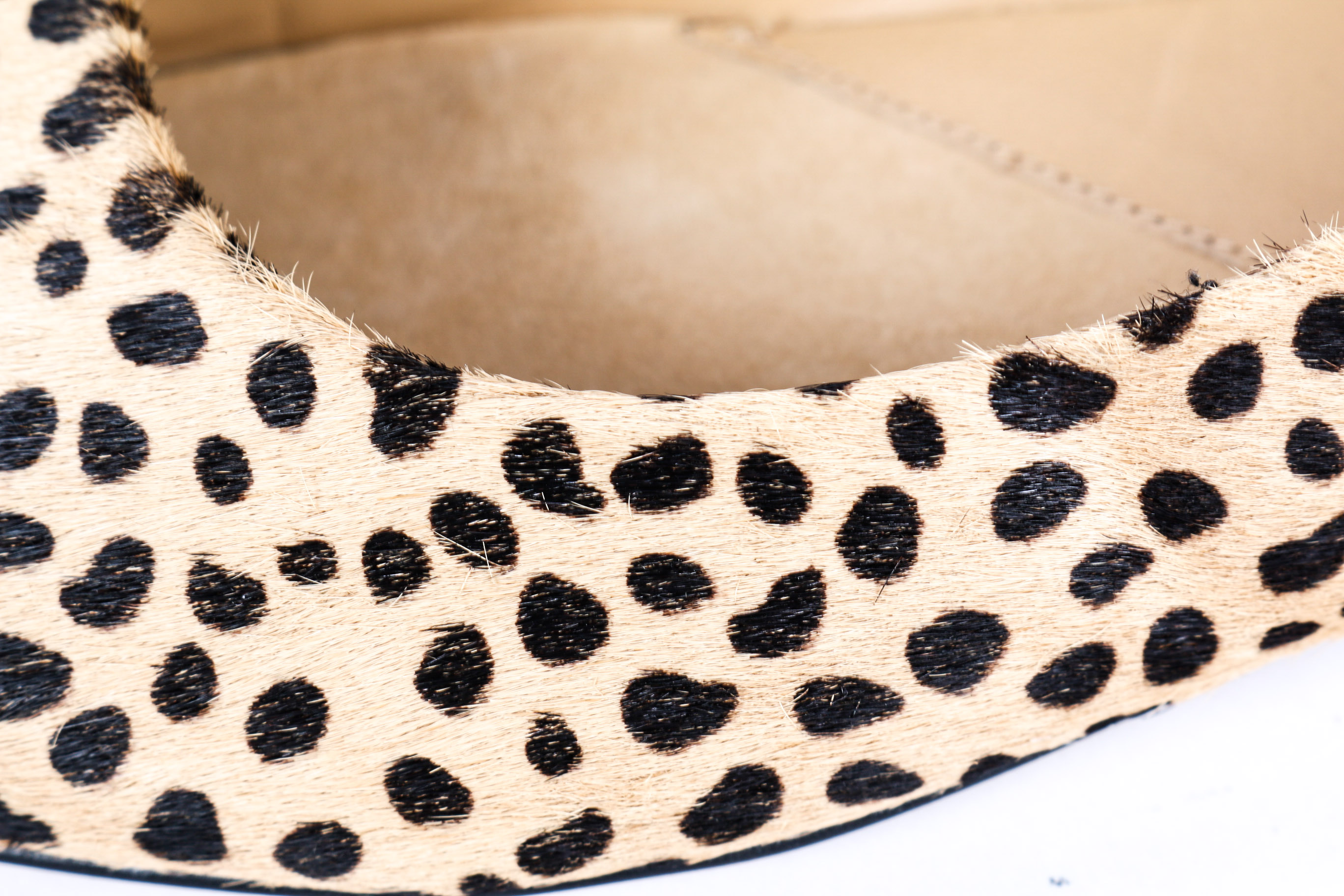 Collection of Women's Shoes