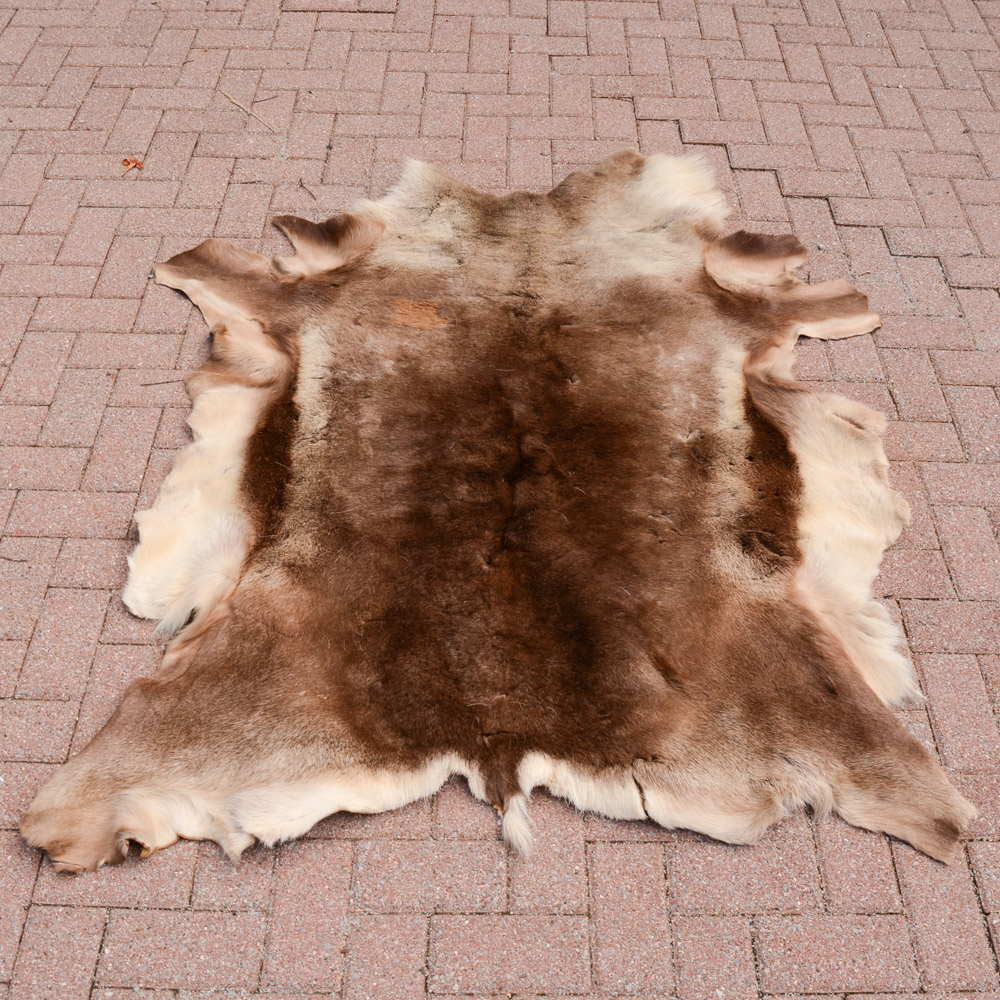 Alaskan Elk Hide Rug