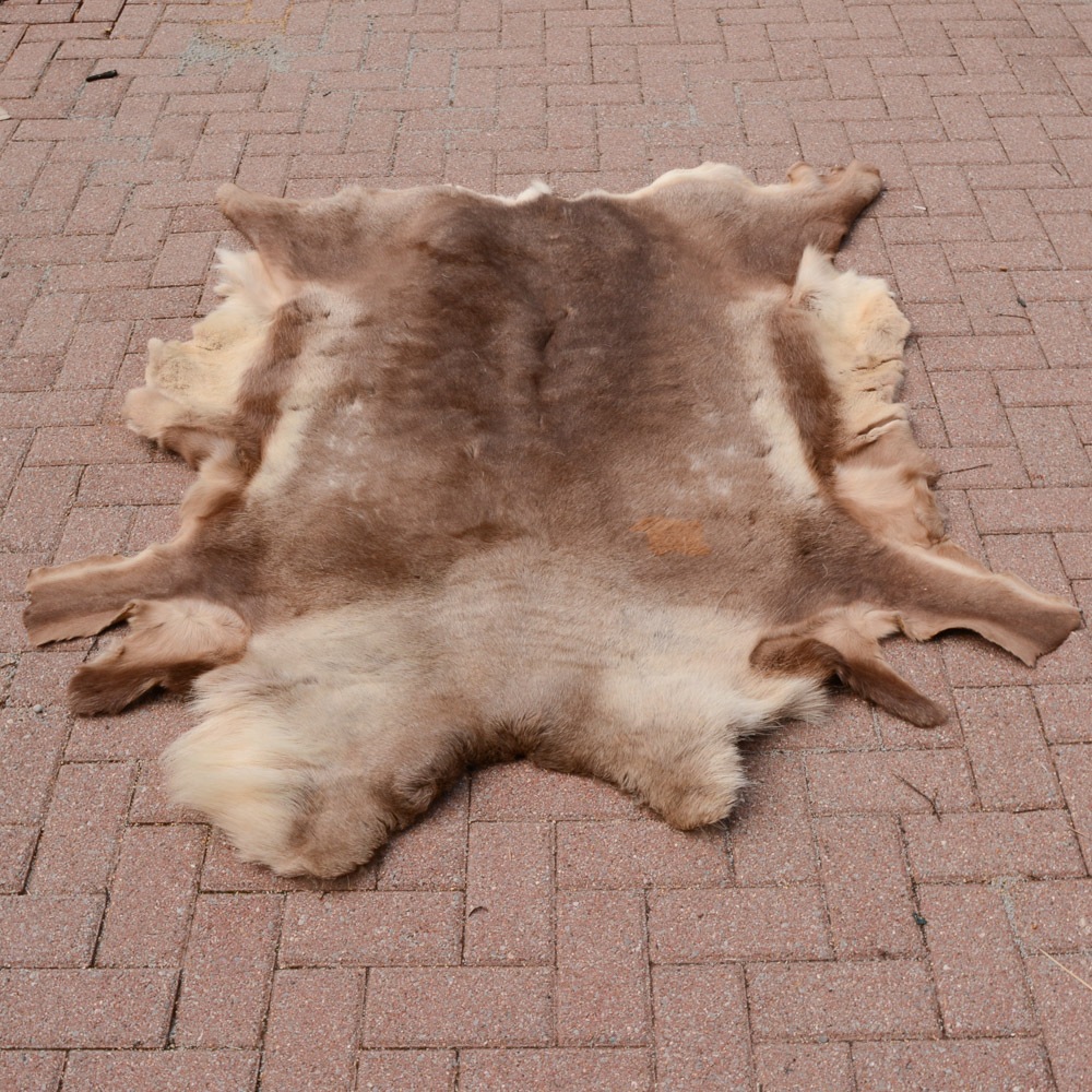 Alaskan Elk Hide Rug