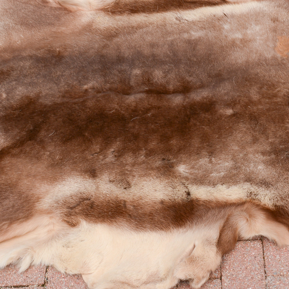 Alaskan Elk Hide Rug