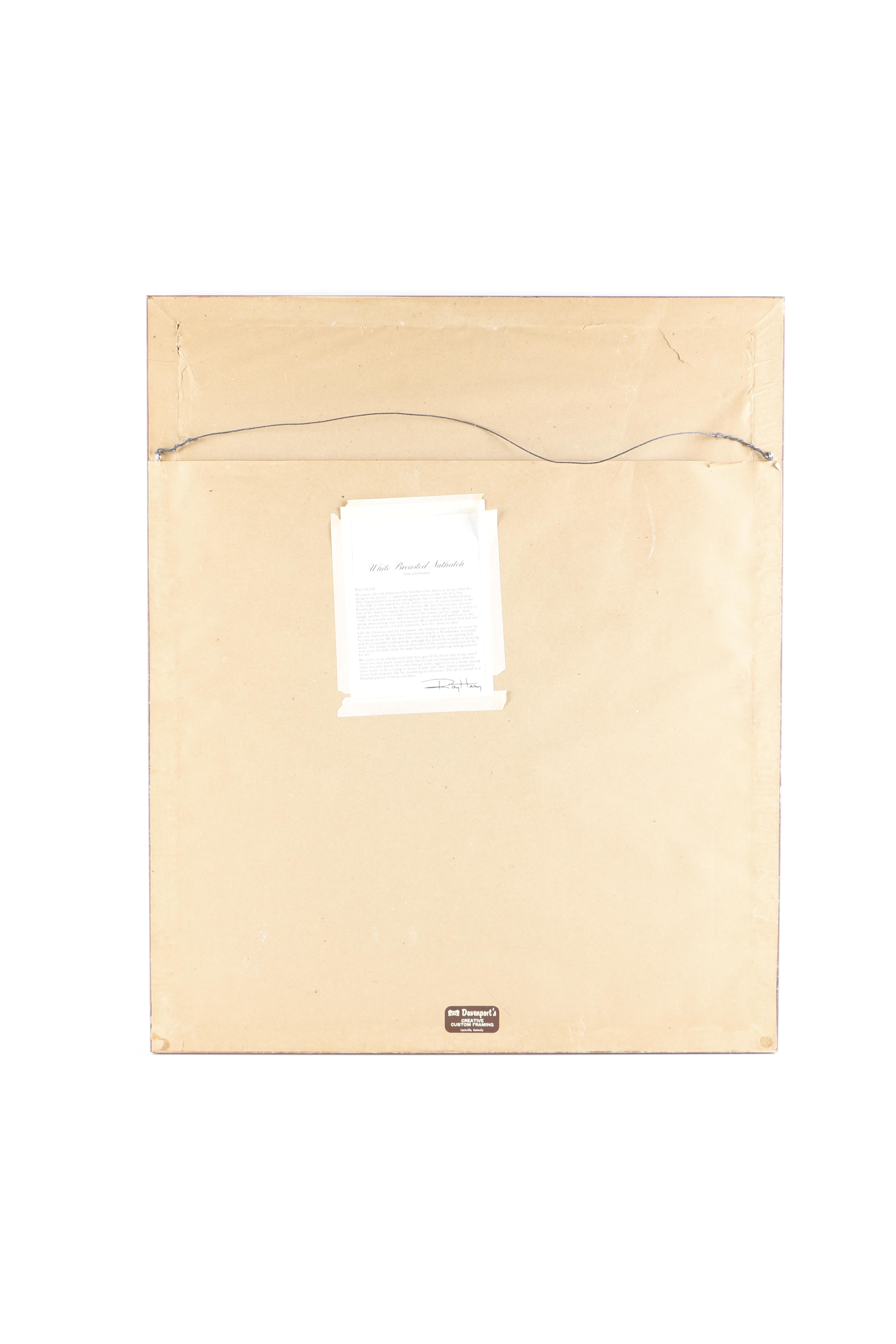 Ray Harm Offset Lithograph "White-Breasted Nuthatch"