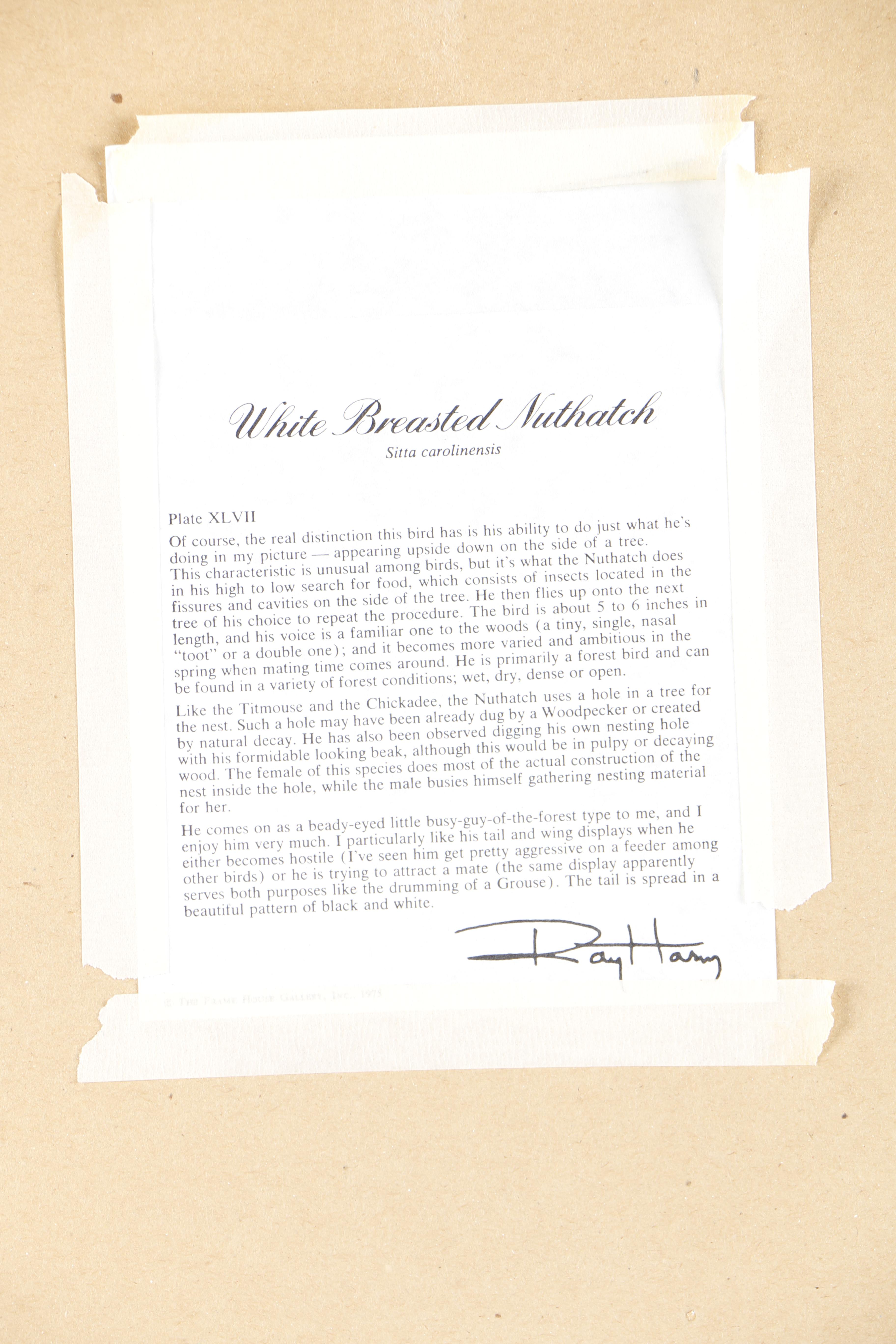 Ray Harm Offset Lithograph "White-Breasted Nuthatch"