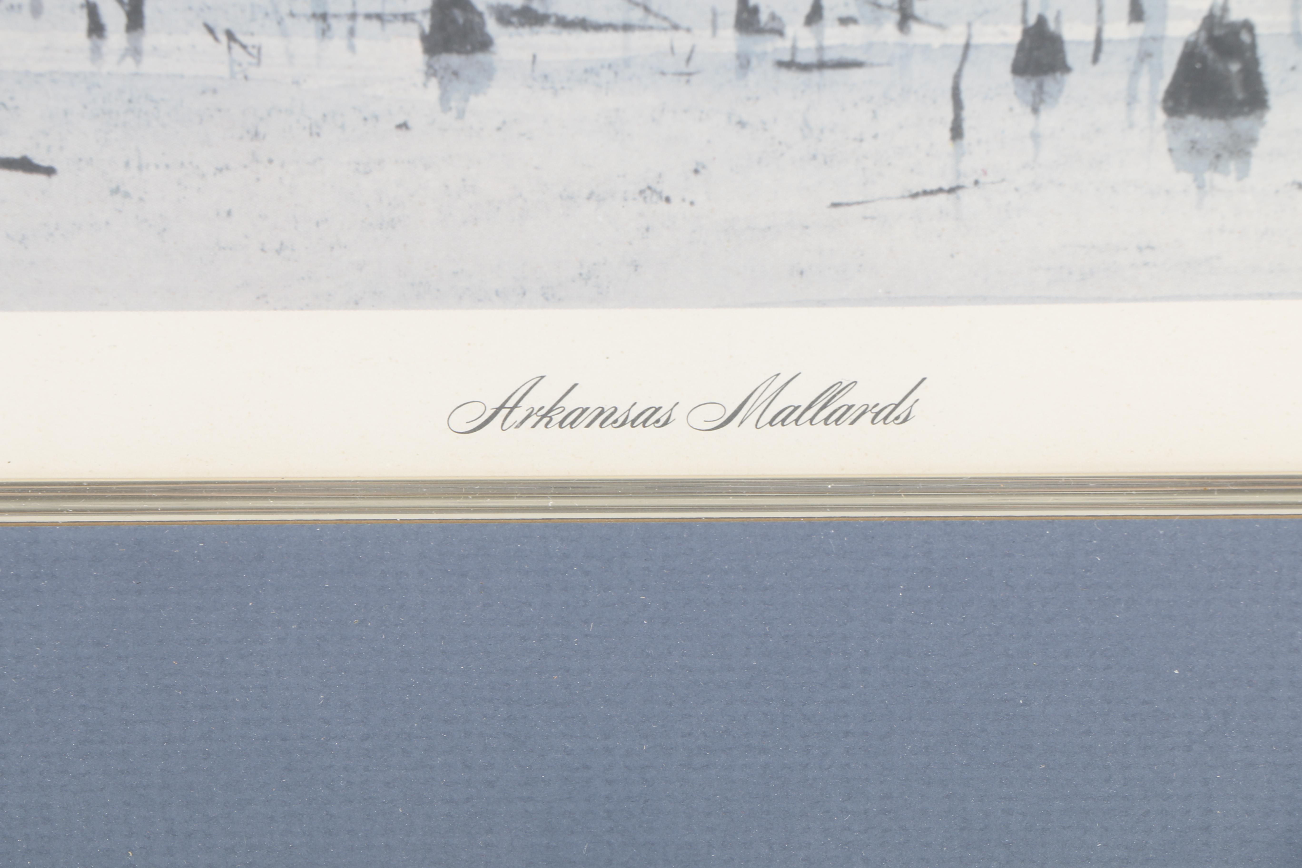 Terrell Dickey Limited Edition Offset Lithograph "Arkansas Mallard"