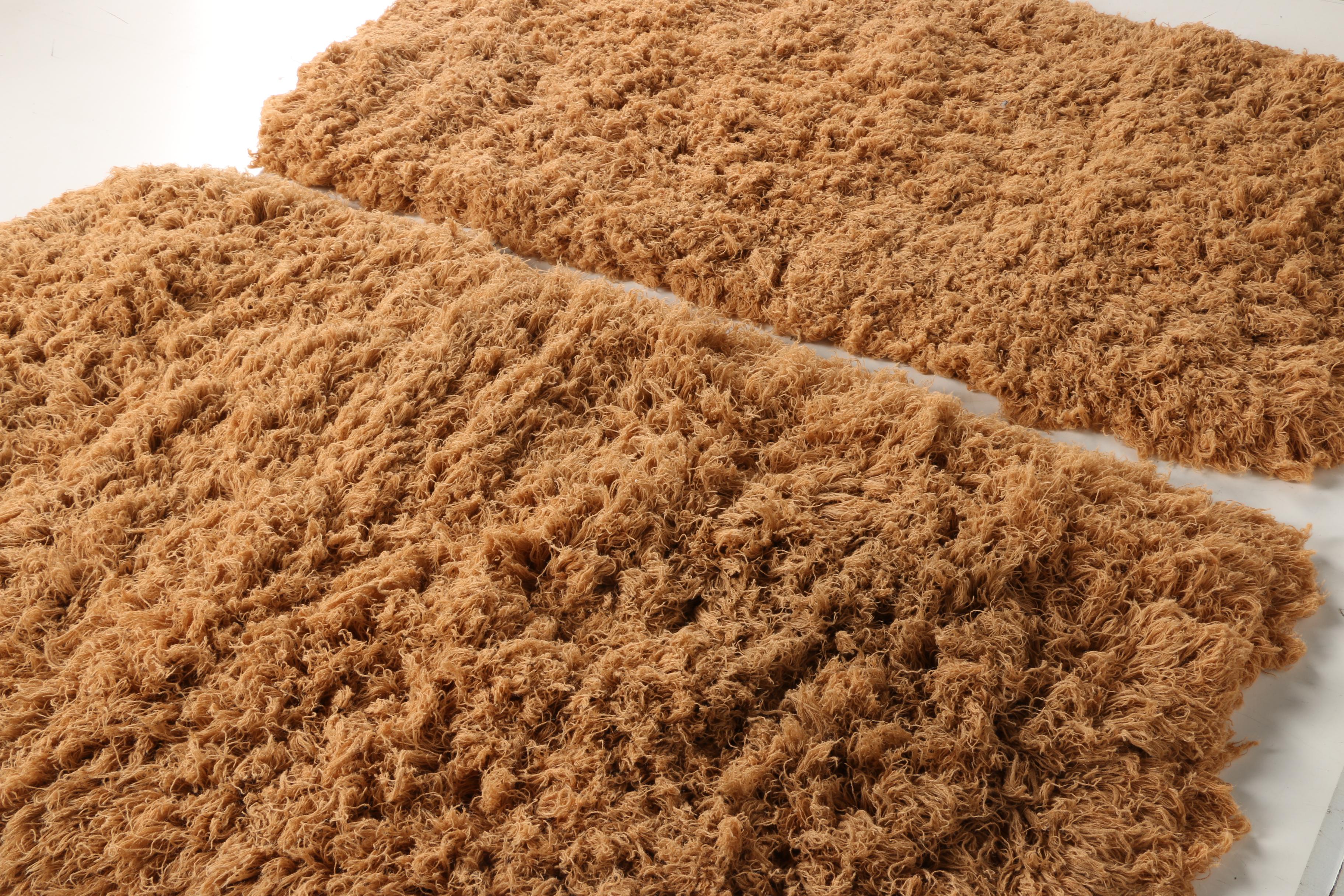 Machine Made Dreamweavers Shag Area Rug in Burnt Orange