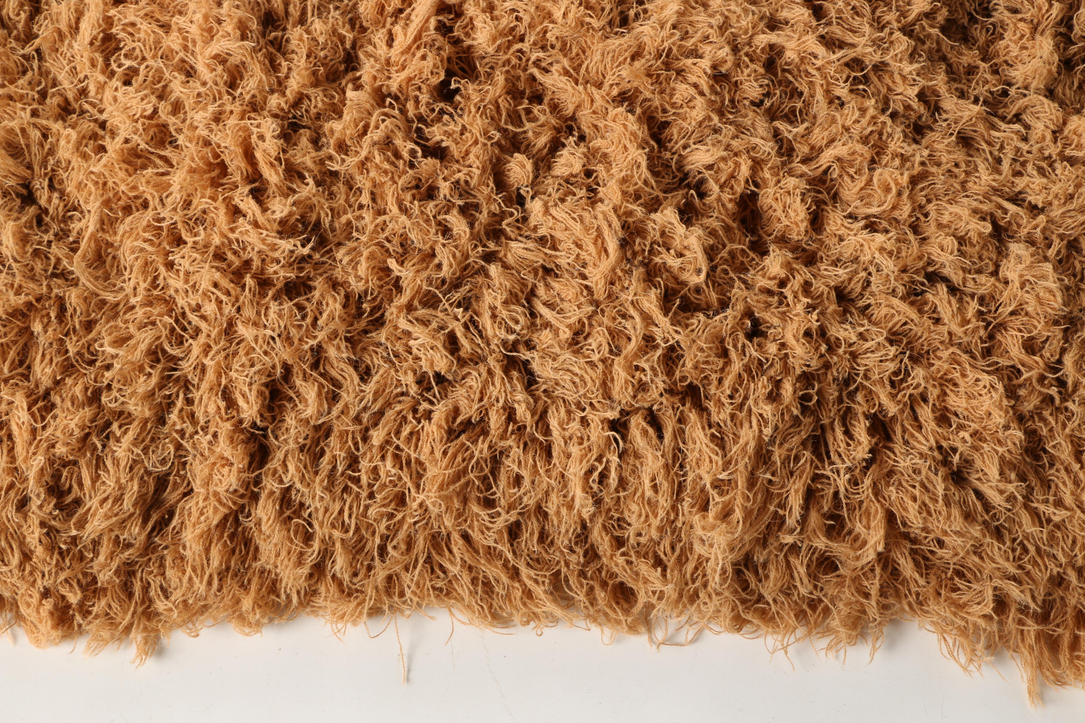 Machine Made Dreamweavers Shag Area Rug in Burnt Orange