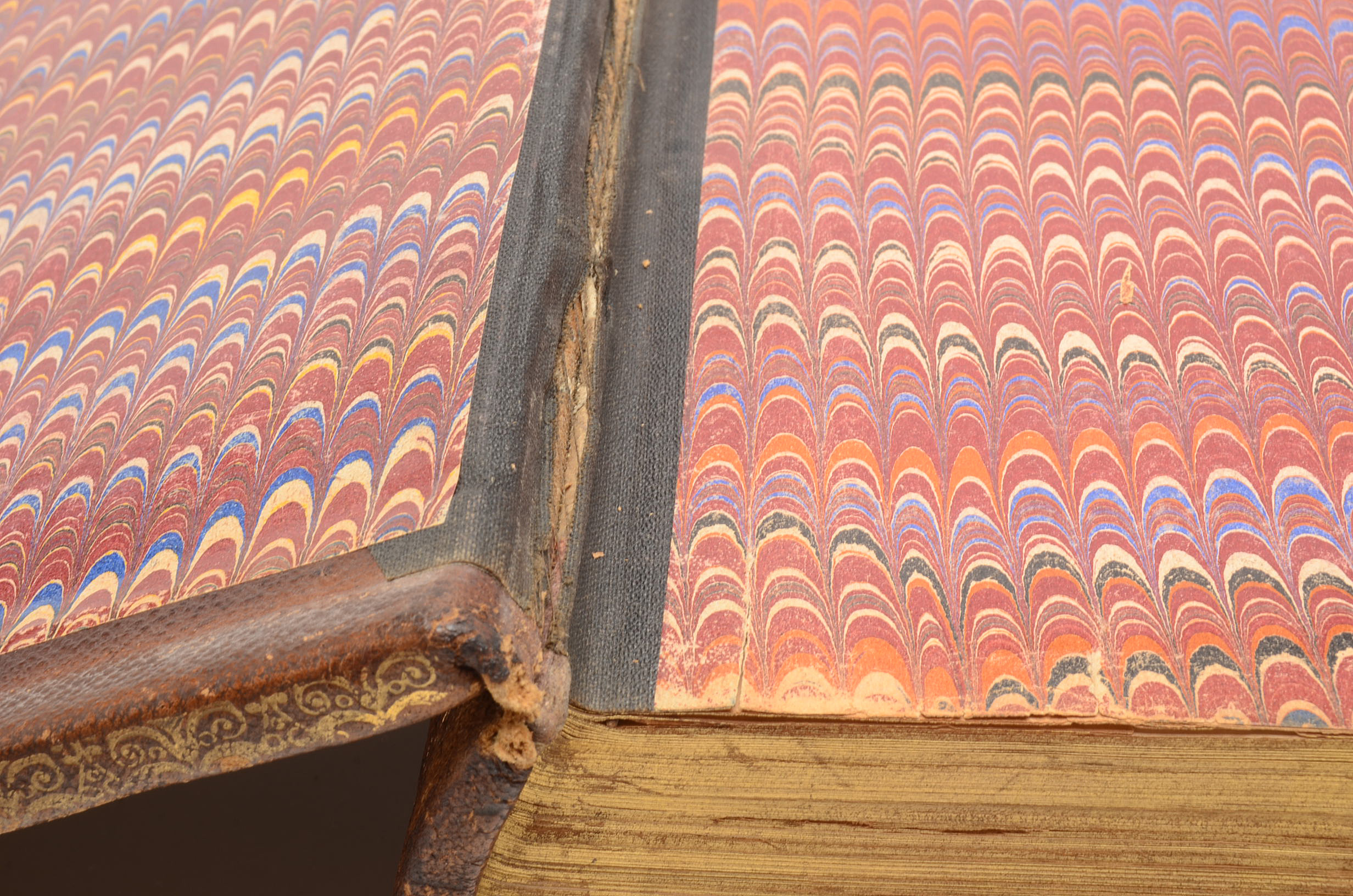 Antique 1891 Complete Text Pictorial Family Bible with Book Stand