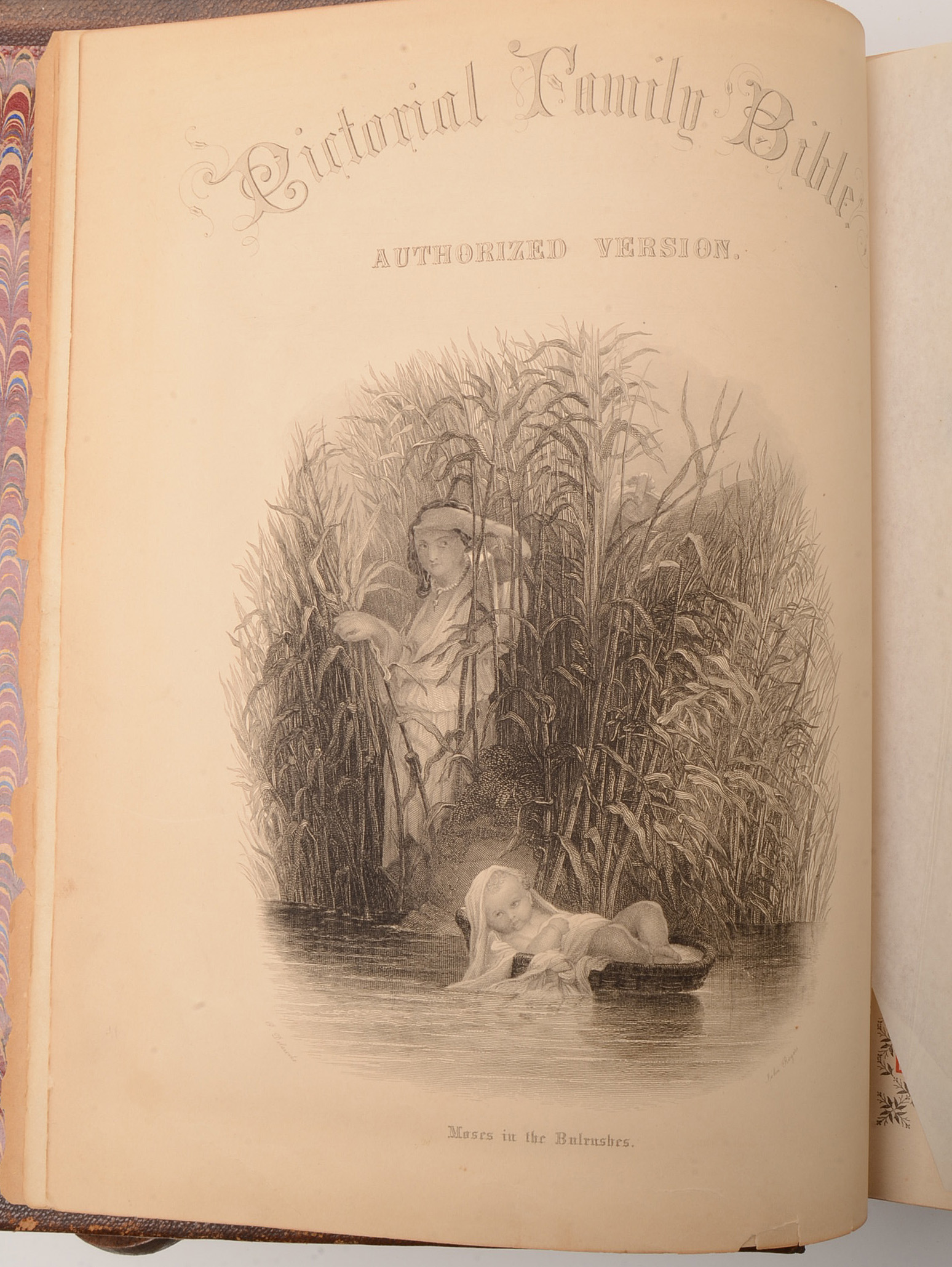 Antique 1891 Complete Text Pictorial Family Bible with Book Stand