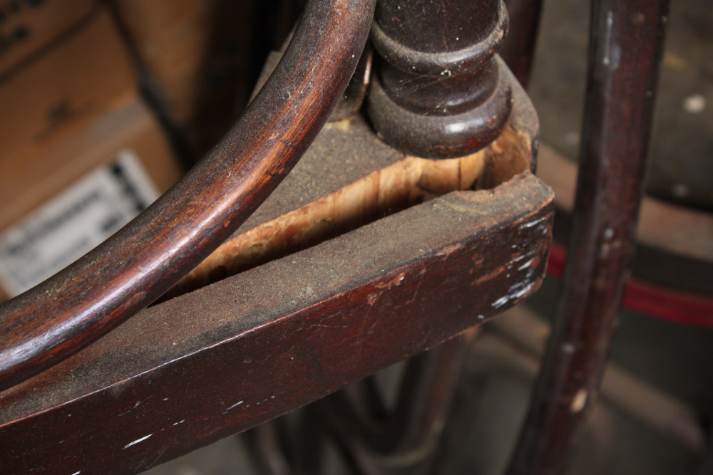 Grouping of Bentwood Chairs