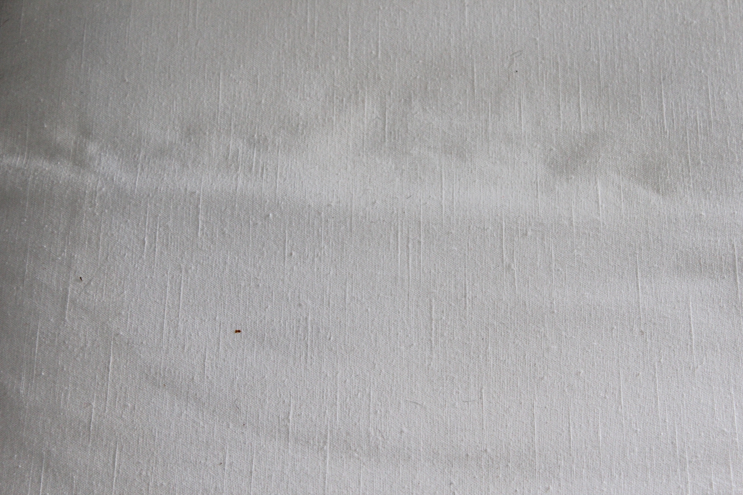 Contemporary White Chair