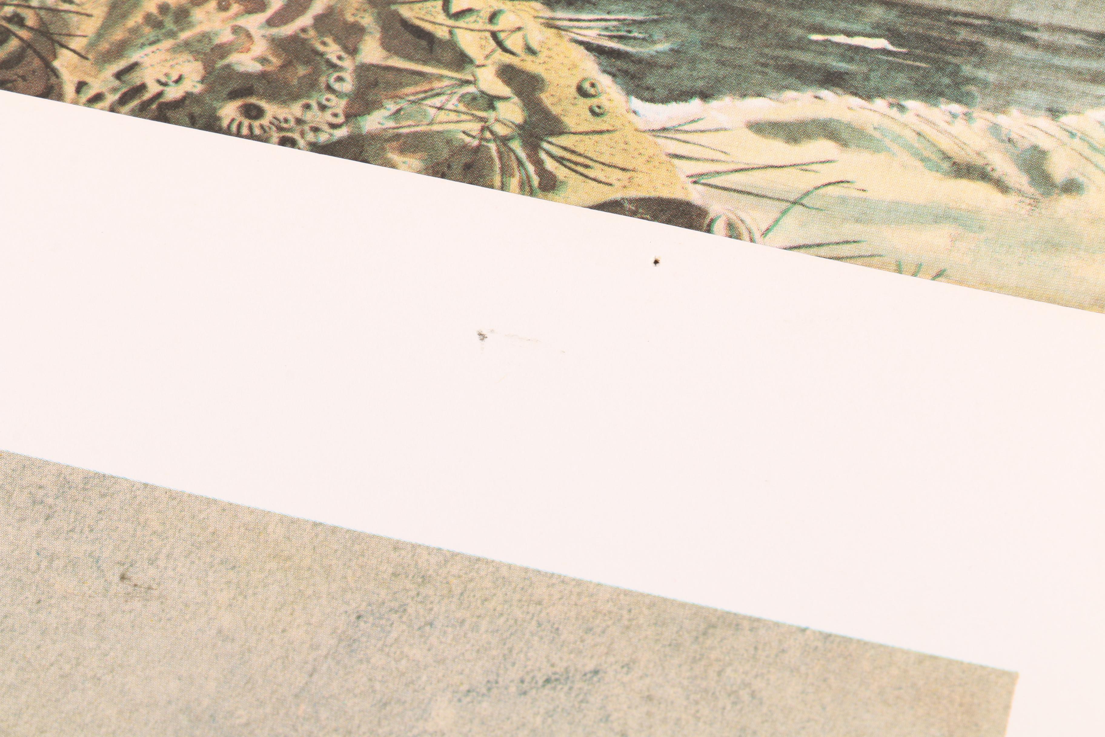 Offset Lithographs Featuring Robert Mason Combs