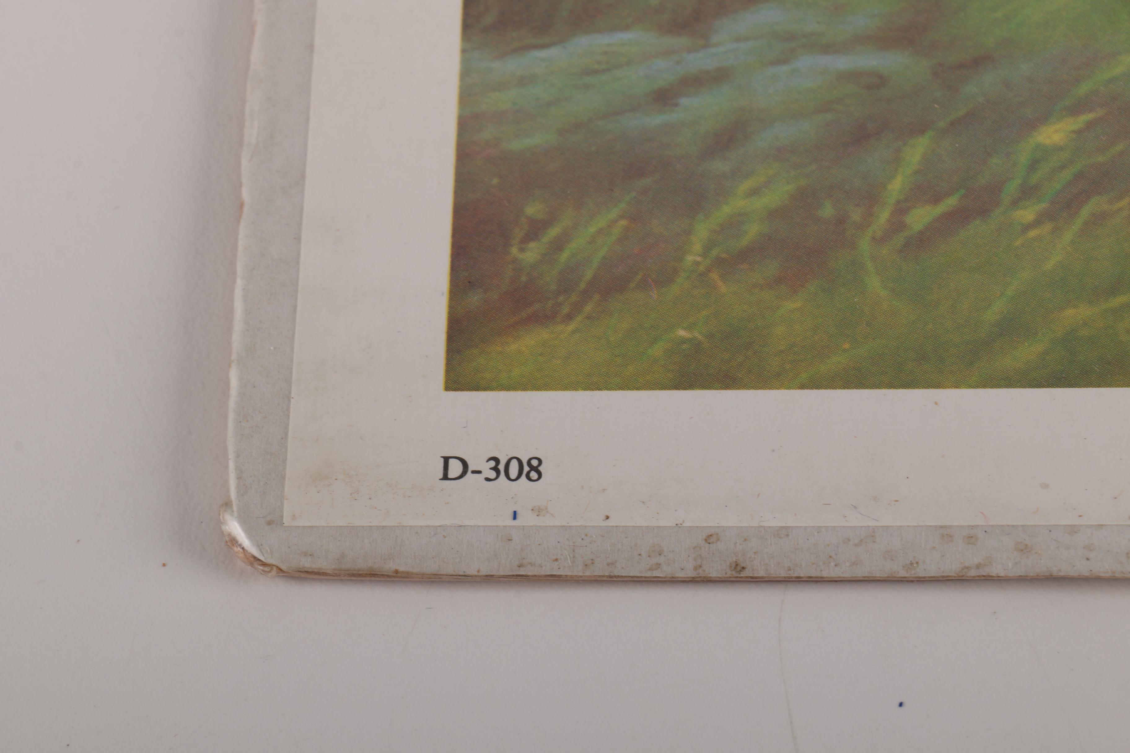 Offset Lithographs Featuring Robert Mason Combs