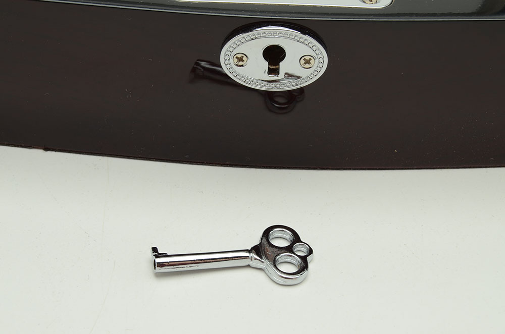 High Gloss Watch Case