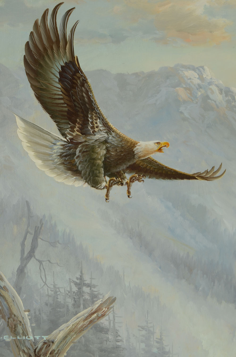M.P. Elliott Original Oil Painting on Canvas of an Eagle