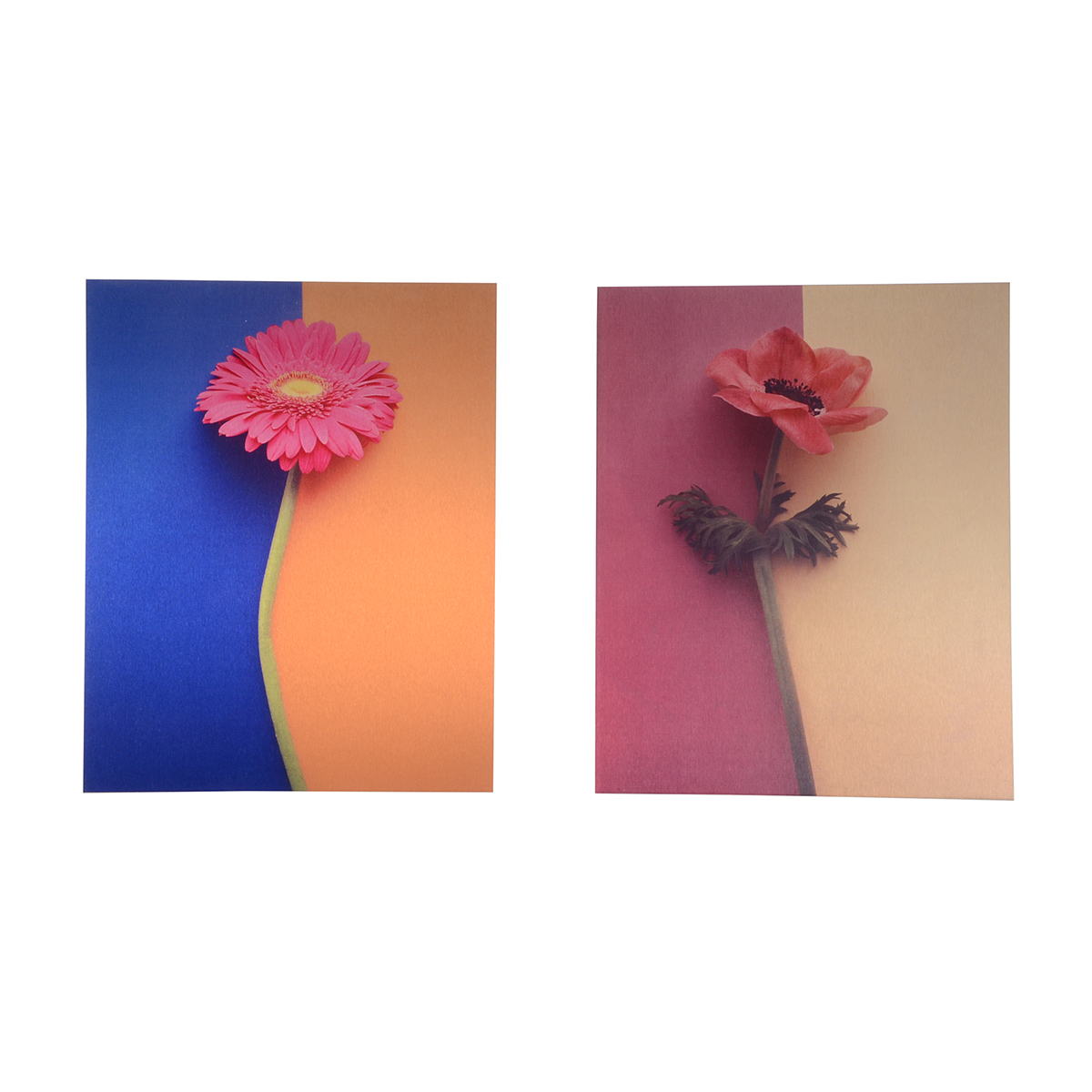 Pair of Deborah Schencke Original Photo Transfers on Brushed Aluminum