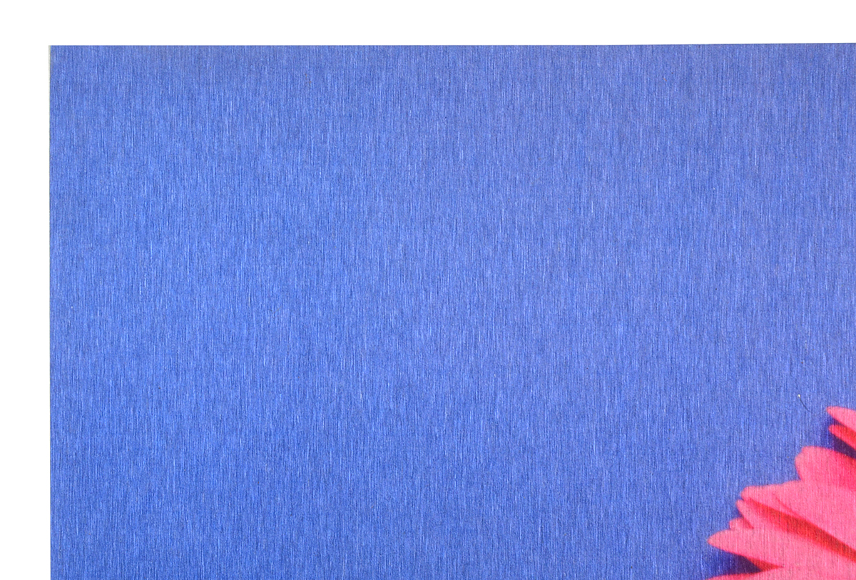 Pair of Deborah Schencke Original Photo Transfers on Brushed Aluminum