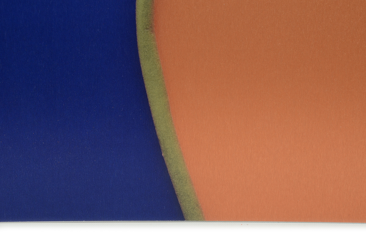 Pair of Deborah Schencke Original Photo Transfers on Brushed Aluminum