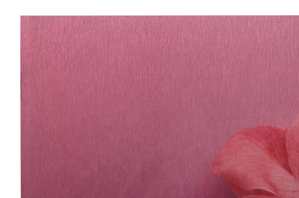 Pair of Deborah Schencke Original Photo Transfers on Brushed Aluminum