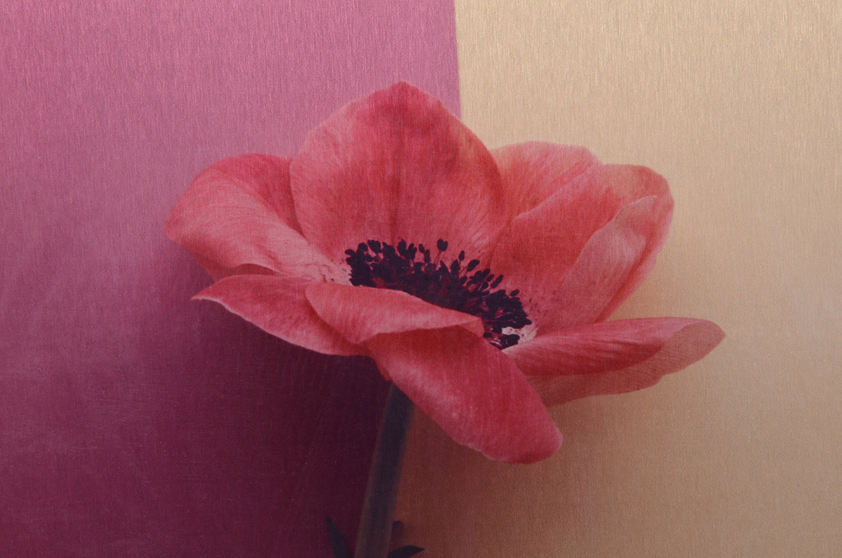 Pair of Deborah Schencke Original Photo Transfers on Brushed Aluminum