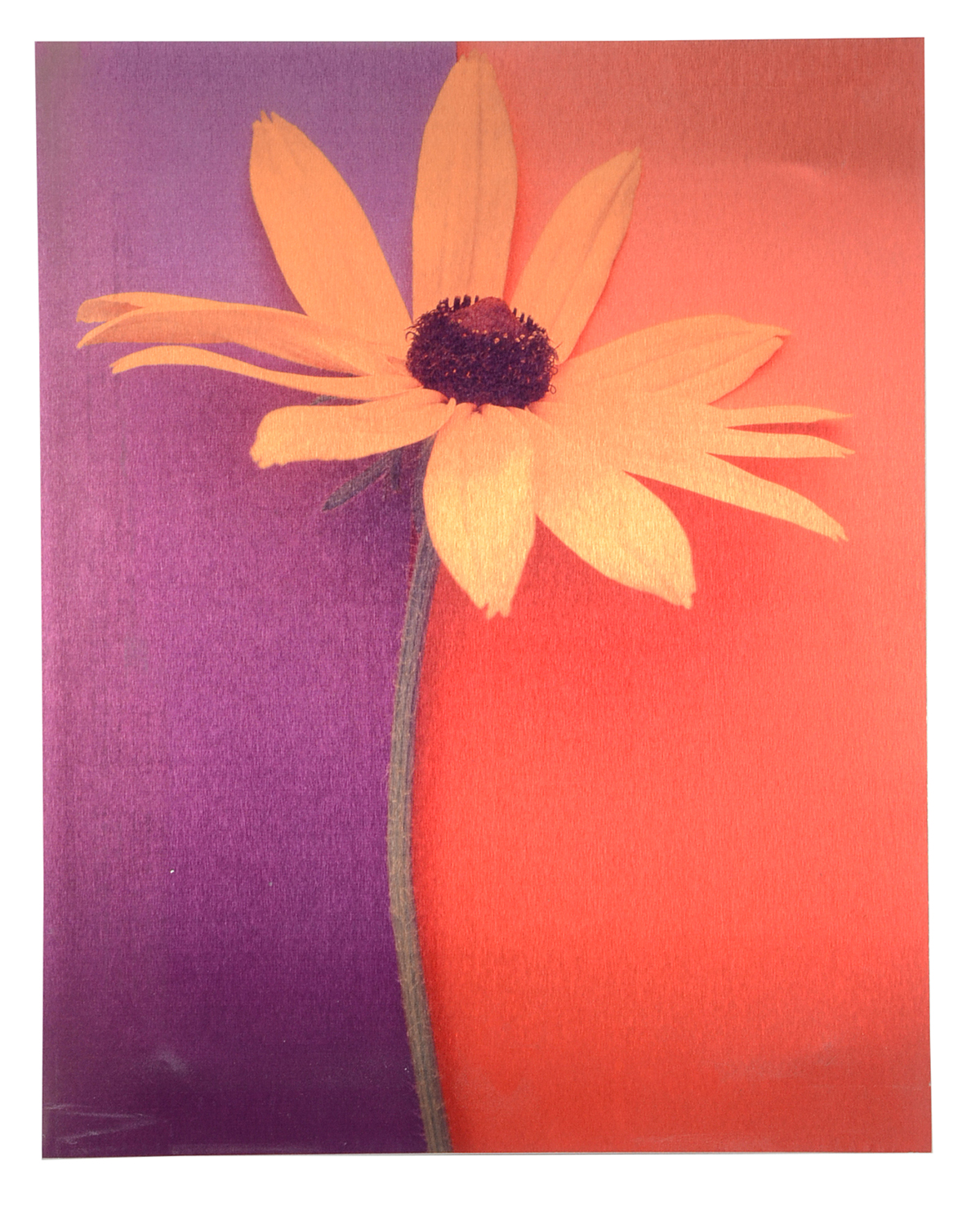 Pair of Deborah Schencke Original Photo Transfers on Brushed Aluminum