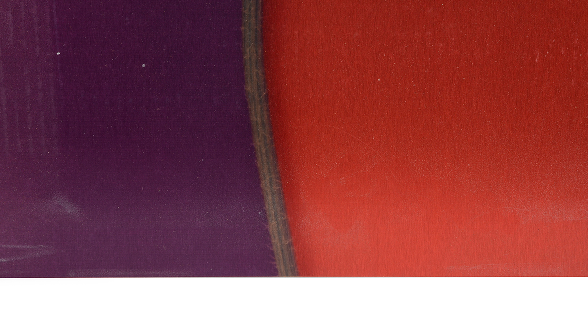 Pair of Deborah Schencke Original Photo Transfers on Brushed Aluminum