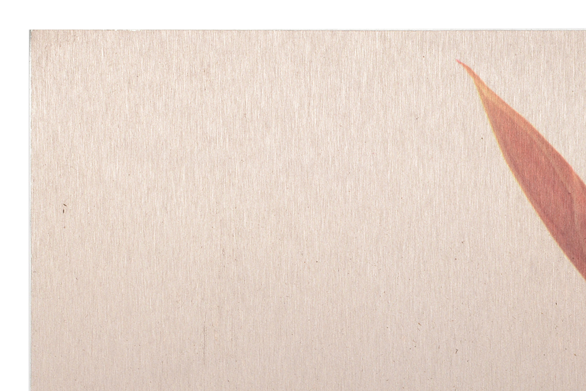 Pair of Deborah Schencke Original Photo Transfers on Brushed Aluminum