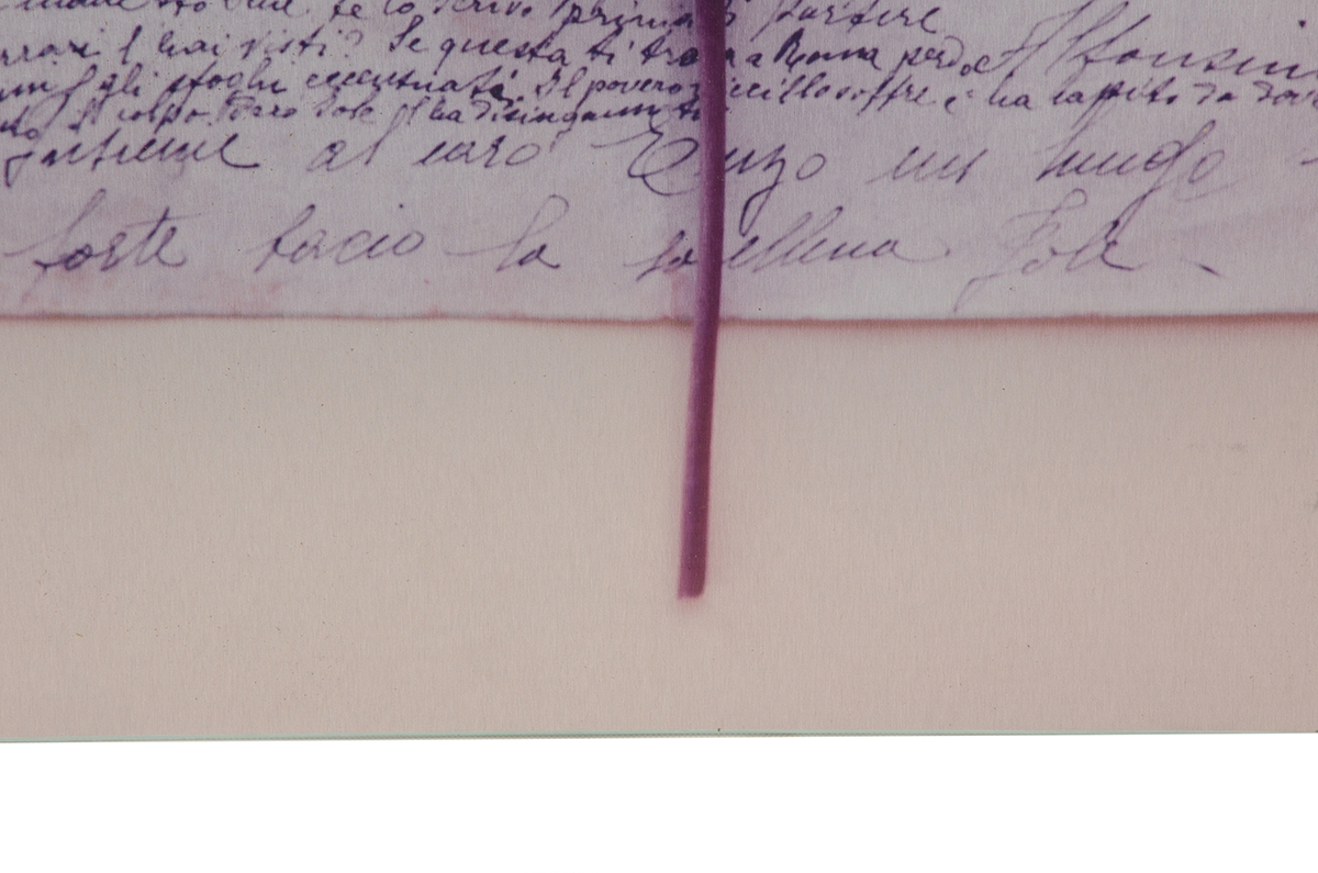 Deborah Schencke Original Photo Transfer on Brushed Aluminum