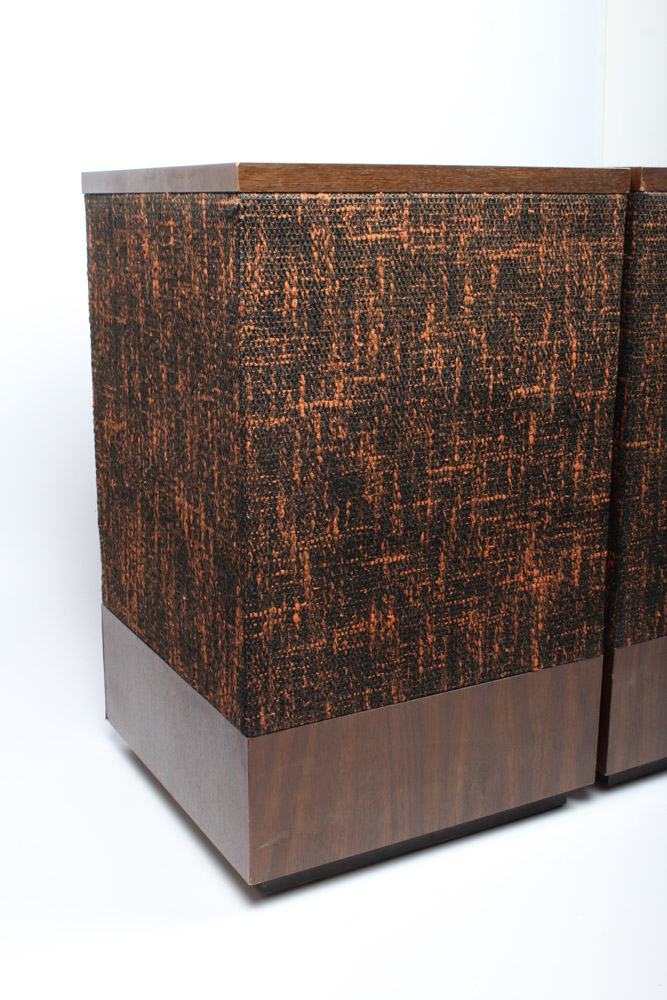 Vintage Bose 501 Direct/Reflecting Loudspeaker System