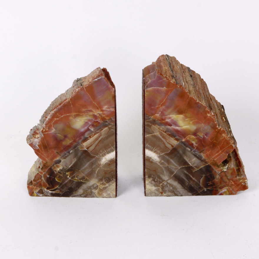 A Pair of Petrified Wood Bookends