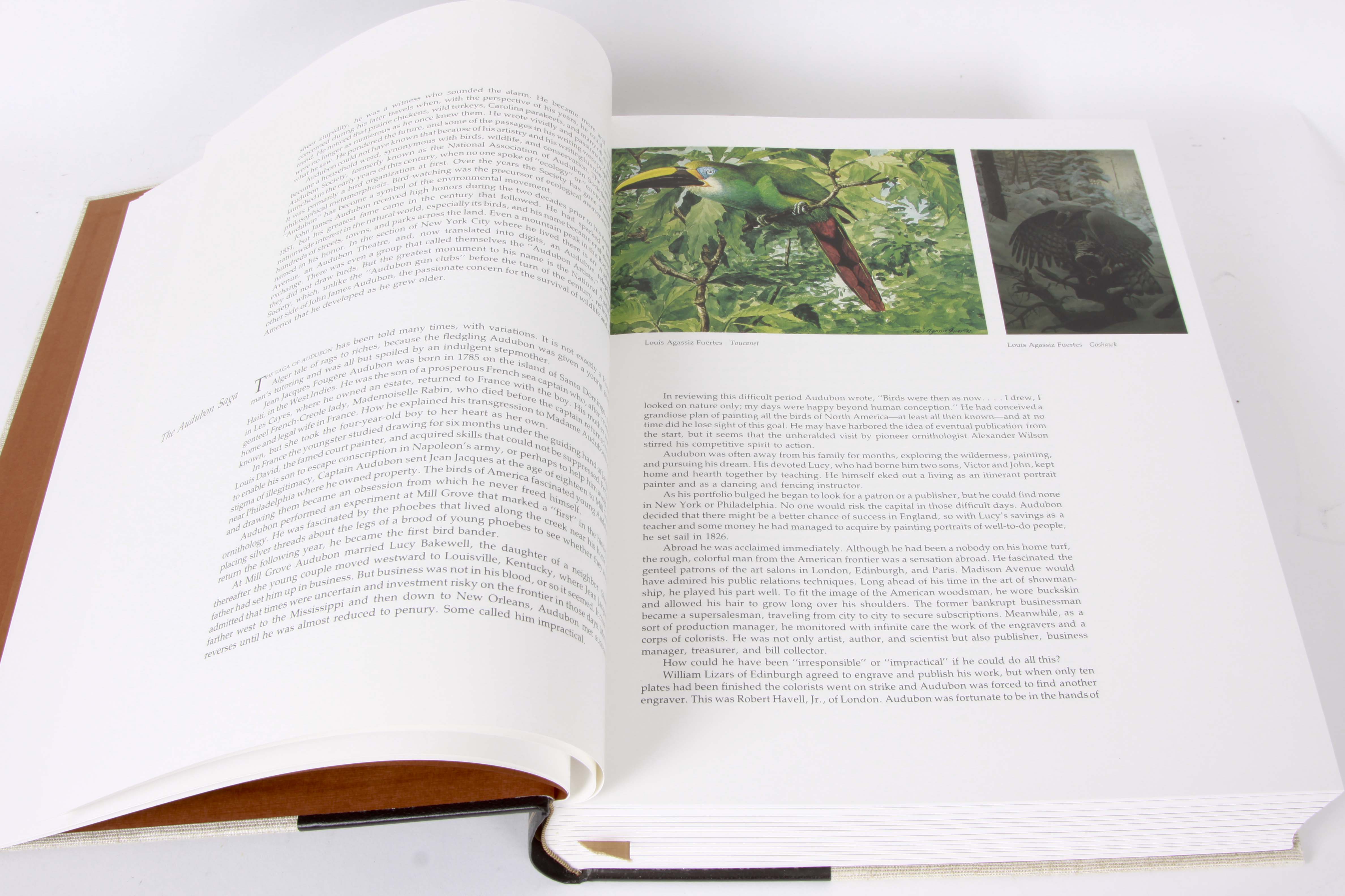 Audubon Society "Baby Elephant Folio"