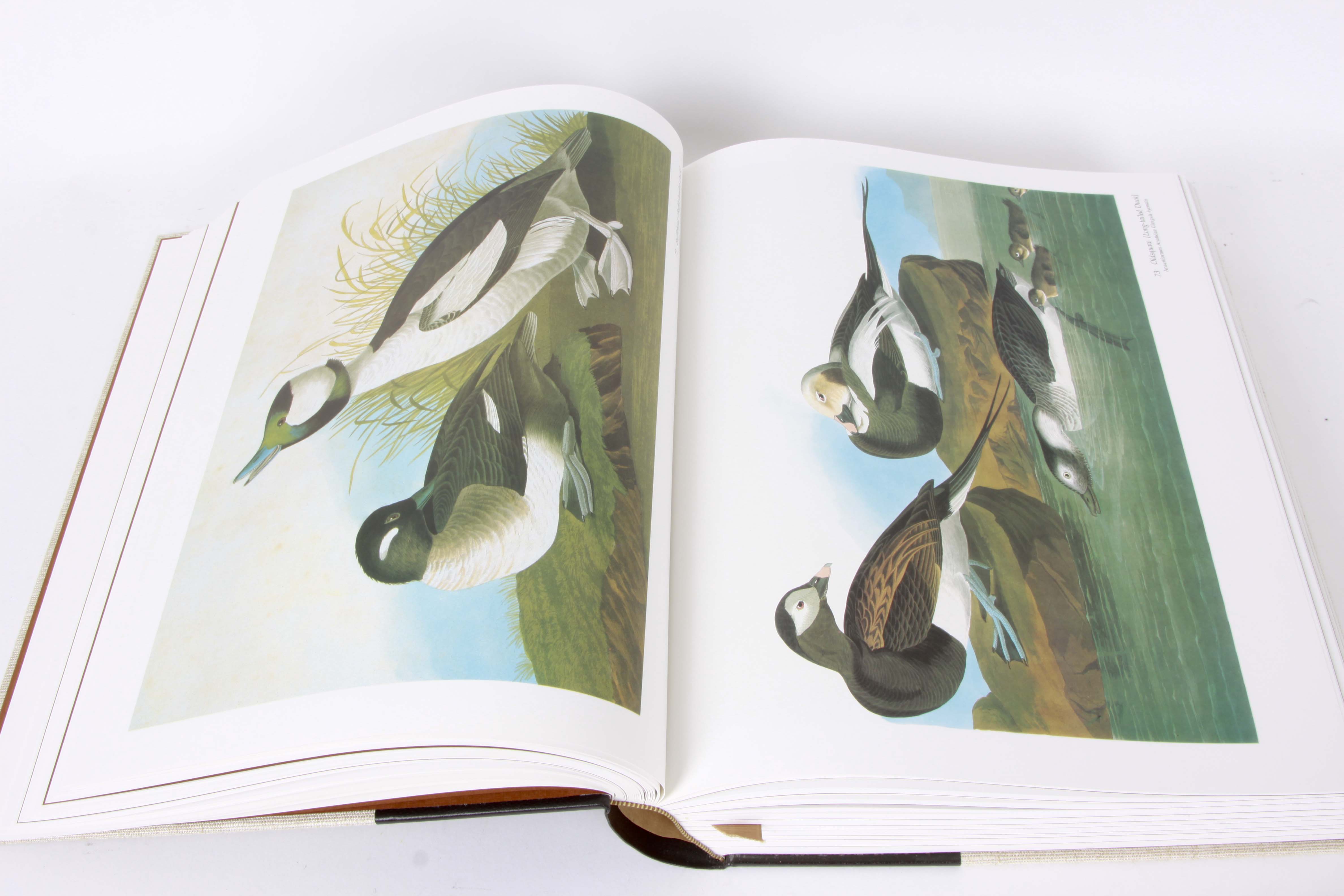 Audubon Society "Baby Elephant Folio"