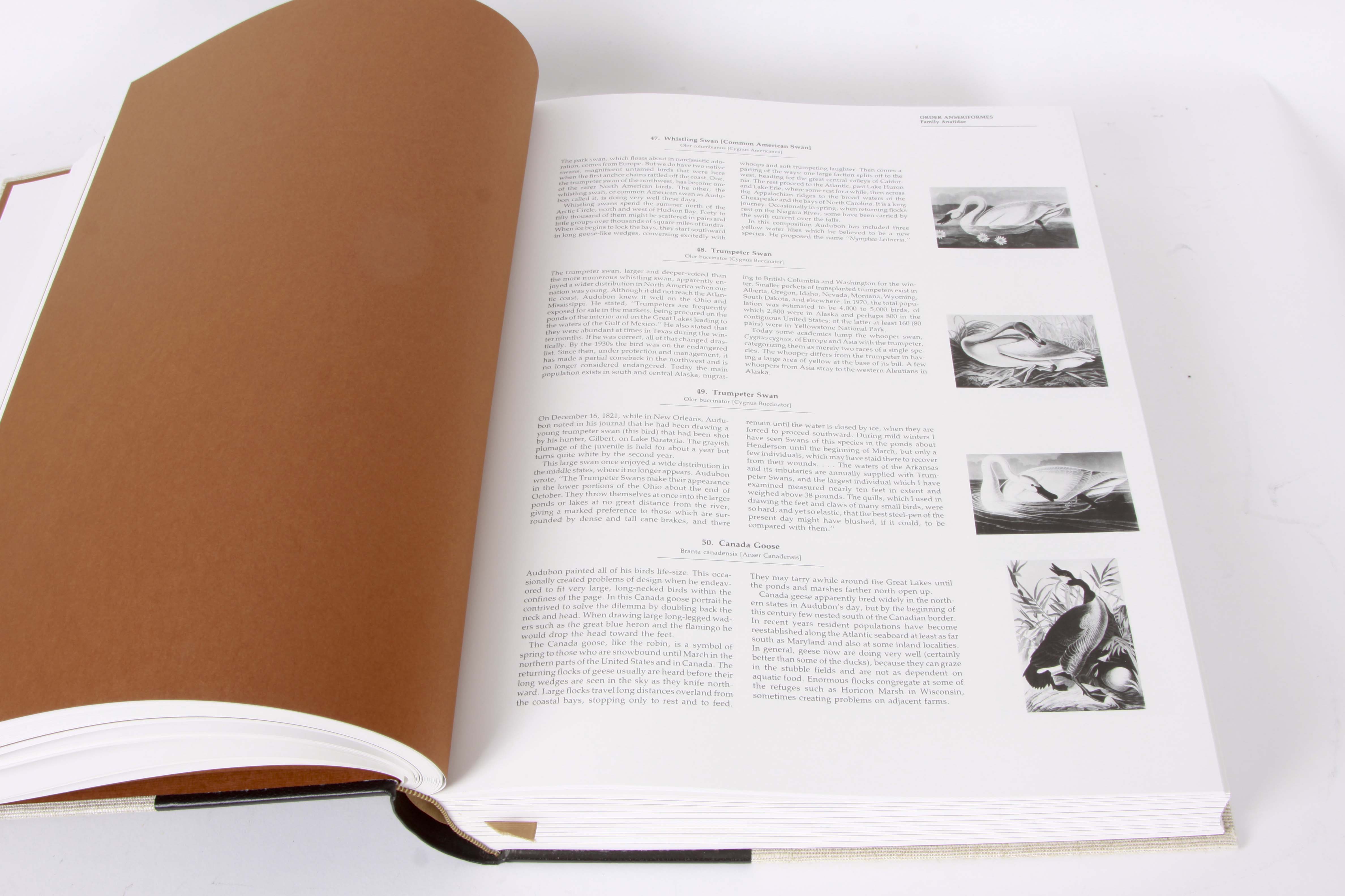 Audubon Society "Baby Elephant Folio"