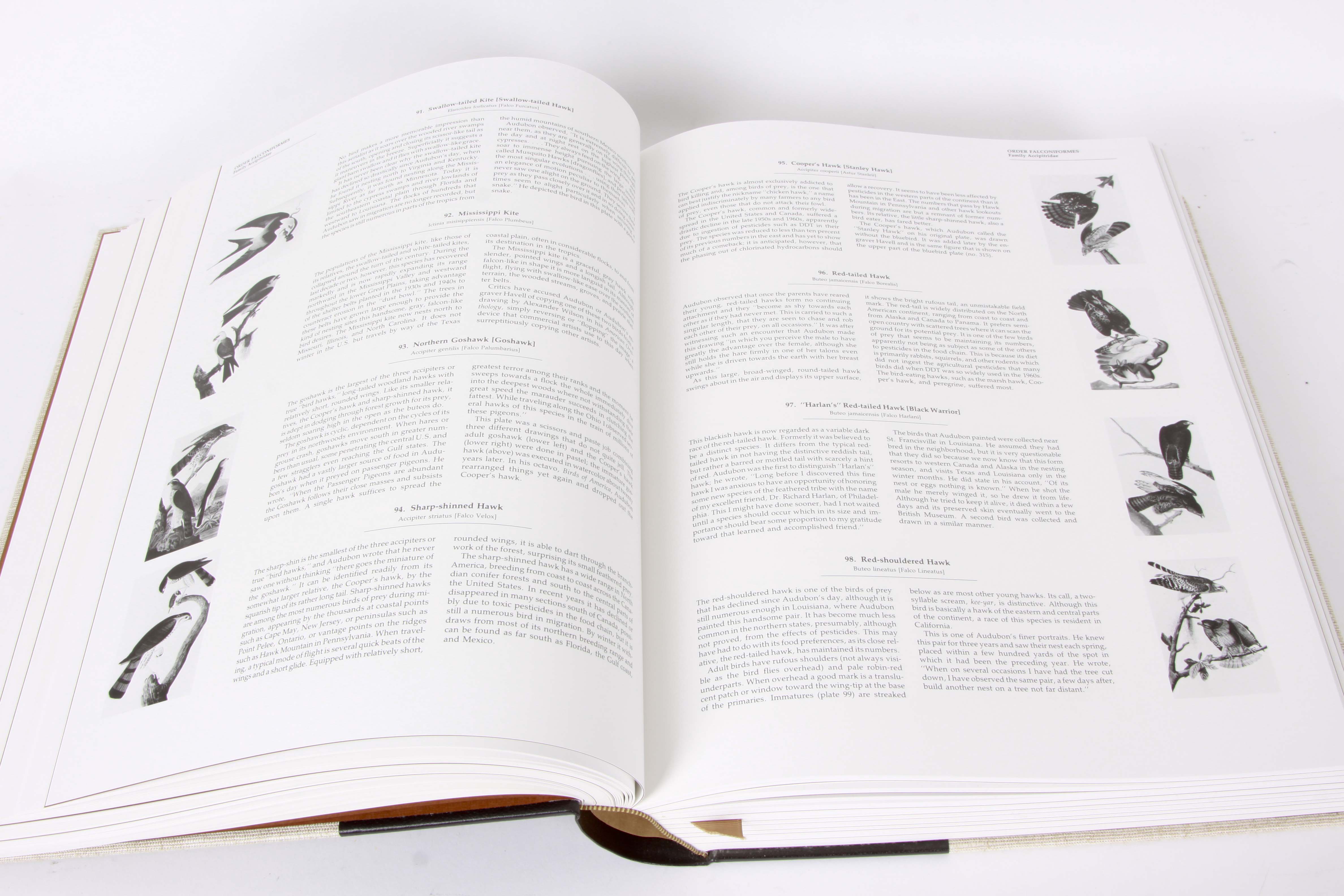 Audubon Society "Baby Elephant Folio"