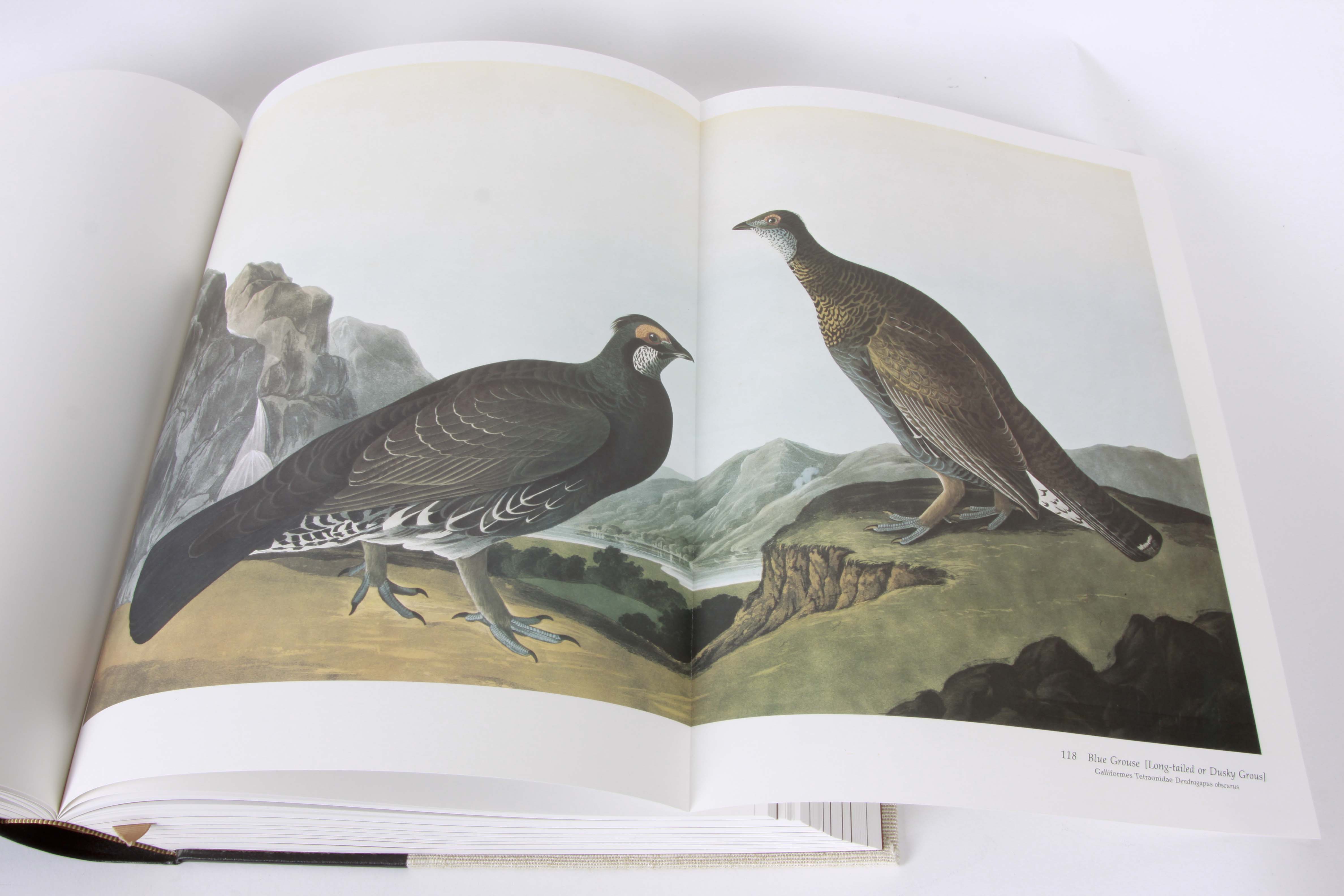 Audubon Society "Baby Elephant Folio"