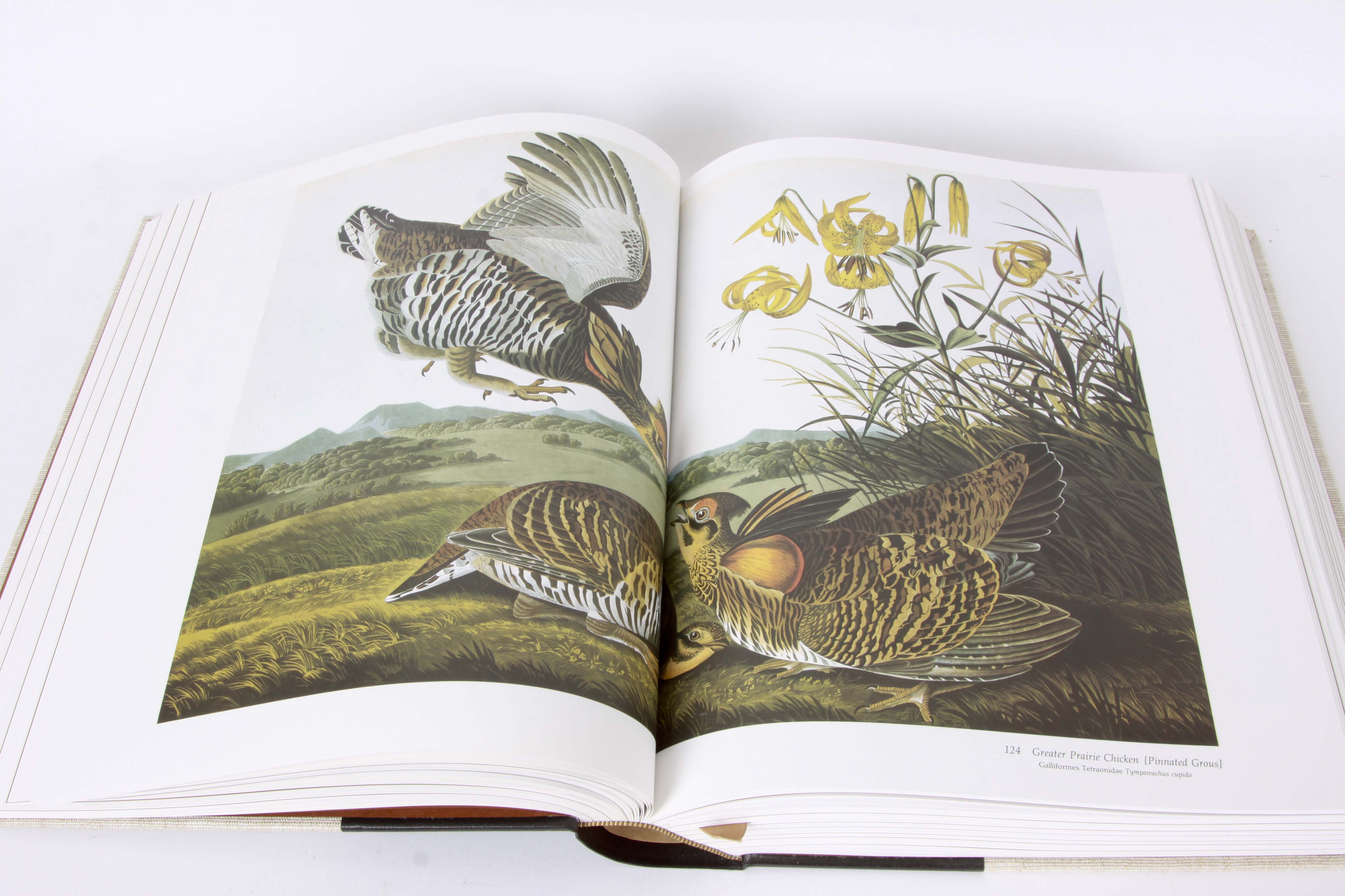 Audubon Society "Baby Elephant Folio"