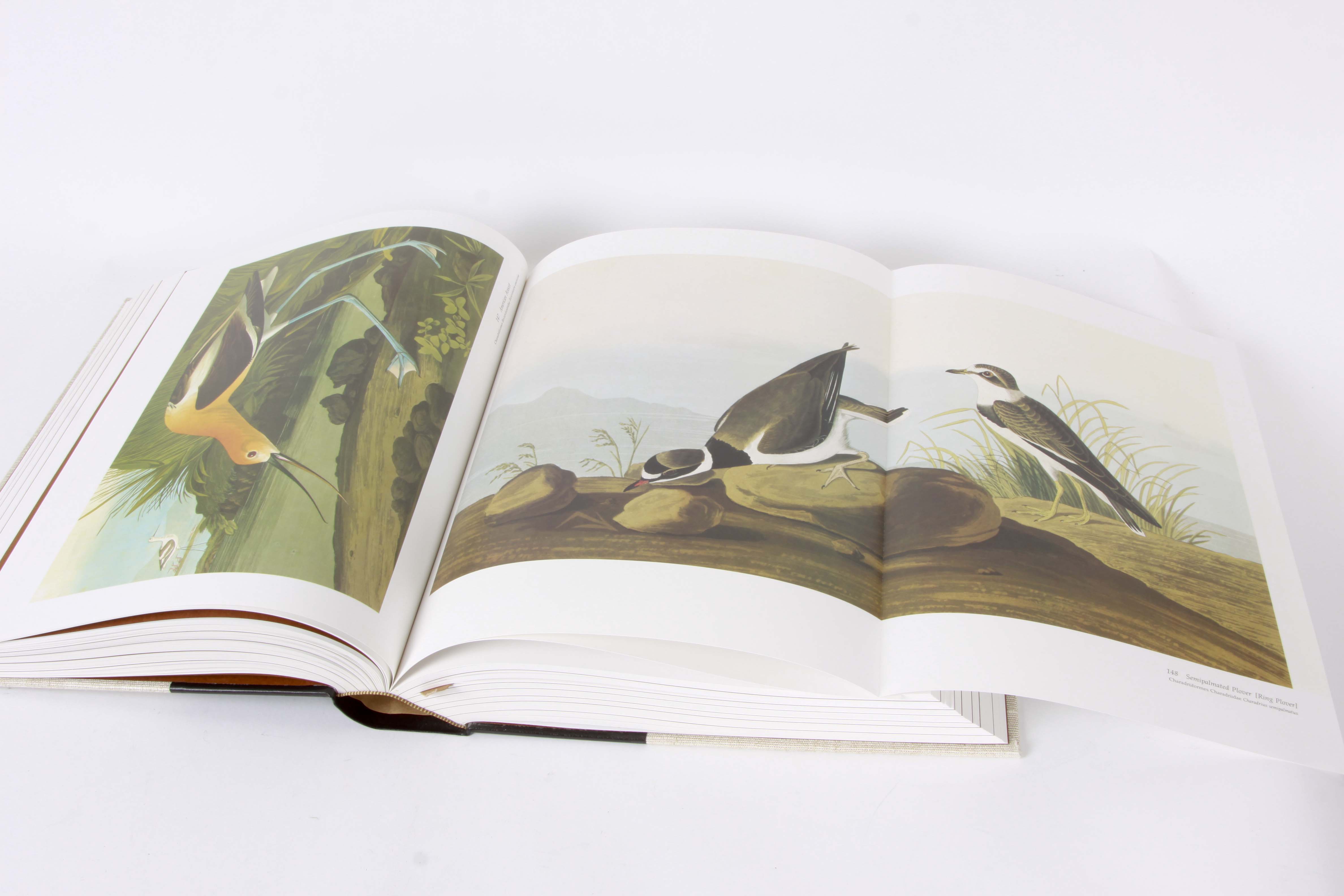 Audubon Society "Baby Elephant Folio"