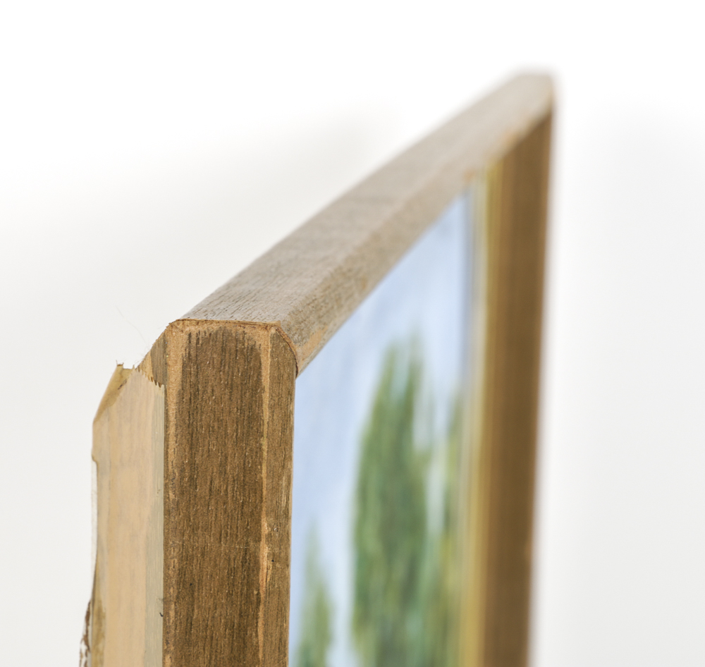 Vargas Oil Painting on Canvas Panel of Woodland Landscape