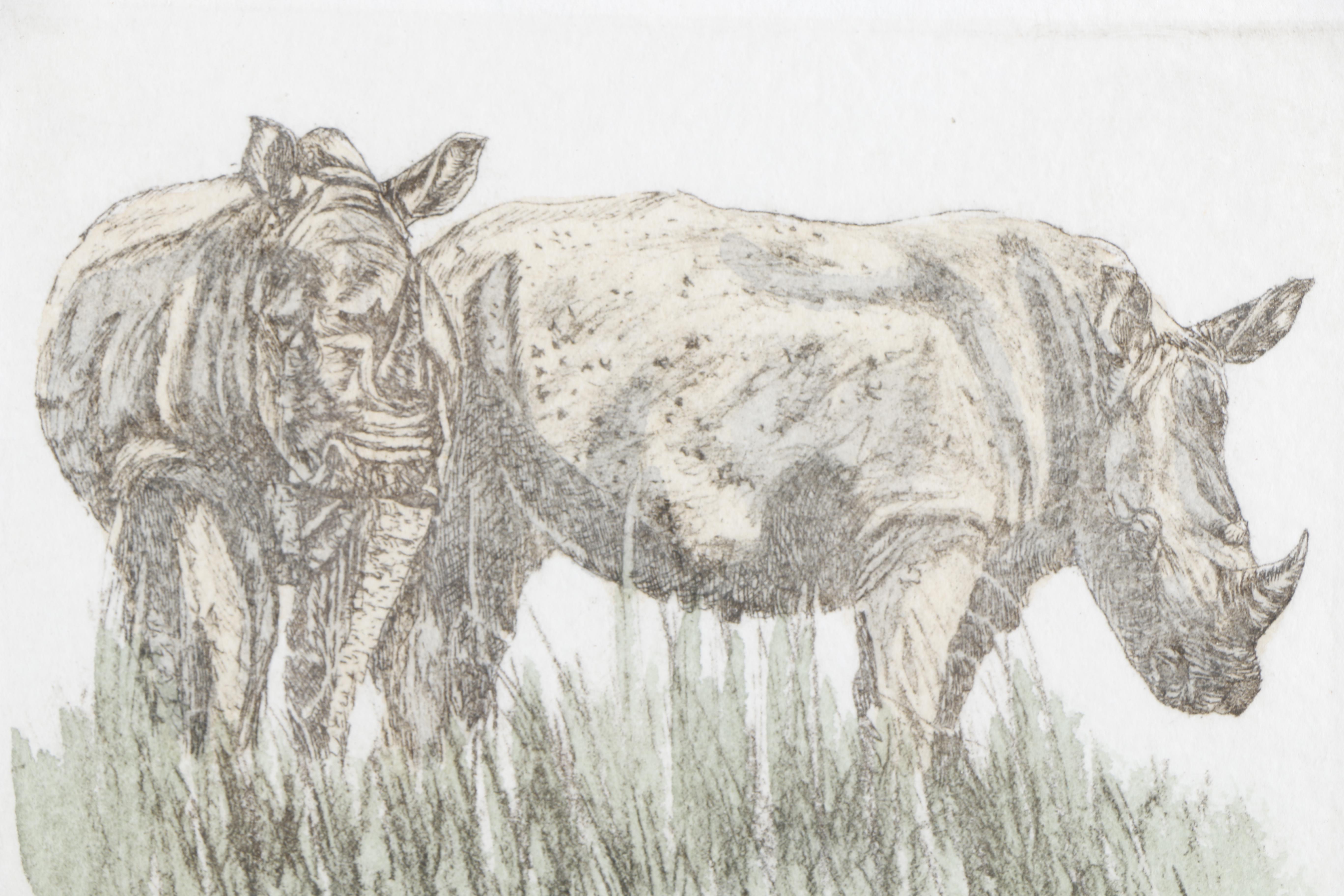 Victor Hohne Limited Edition Hand-colored Etching of Rhinoceros